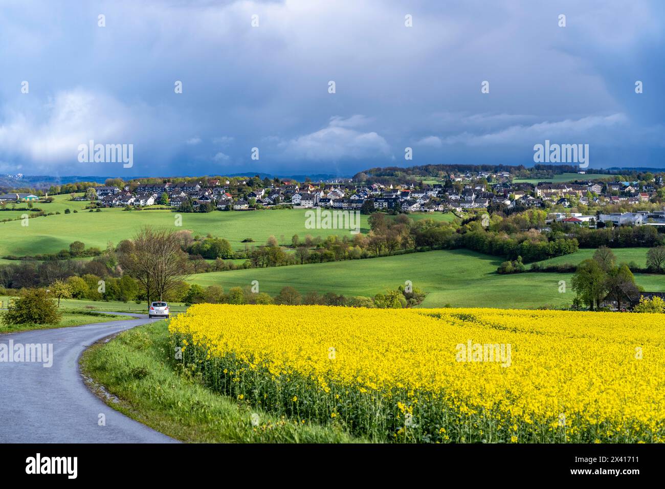 Vista su Breckerfeld, nel sud-est della regione della Ruhr, appartiene al distretto di Ennepe-Ruhr, Rapsfeld, NRW, Germania, Foto Stock