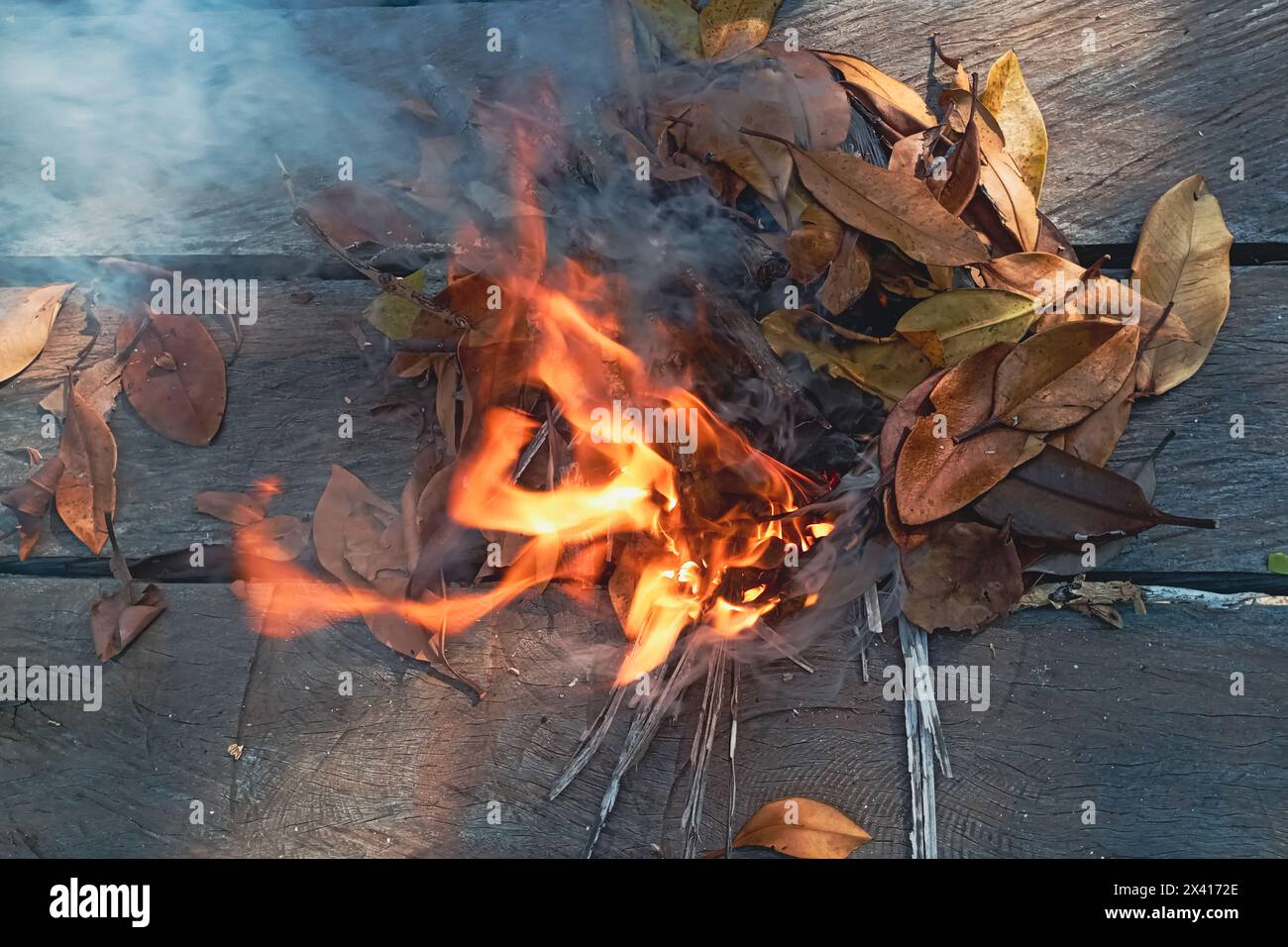 Fuoco con fumo sulla legna. Foto Stock