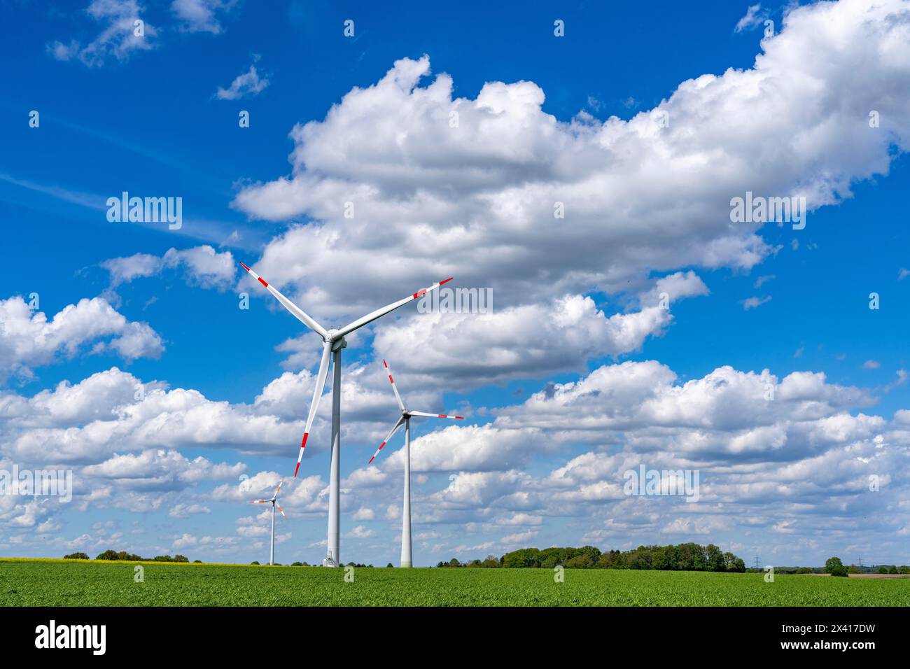 Parco eolico, turbina eolica, turbine eoliche del produttore Enercon, cielo blu con molte nuvole bianche, tra Schermbeck e Dorsten, strada di campagna, B. Foto Stock