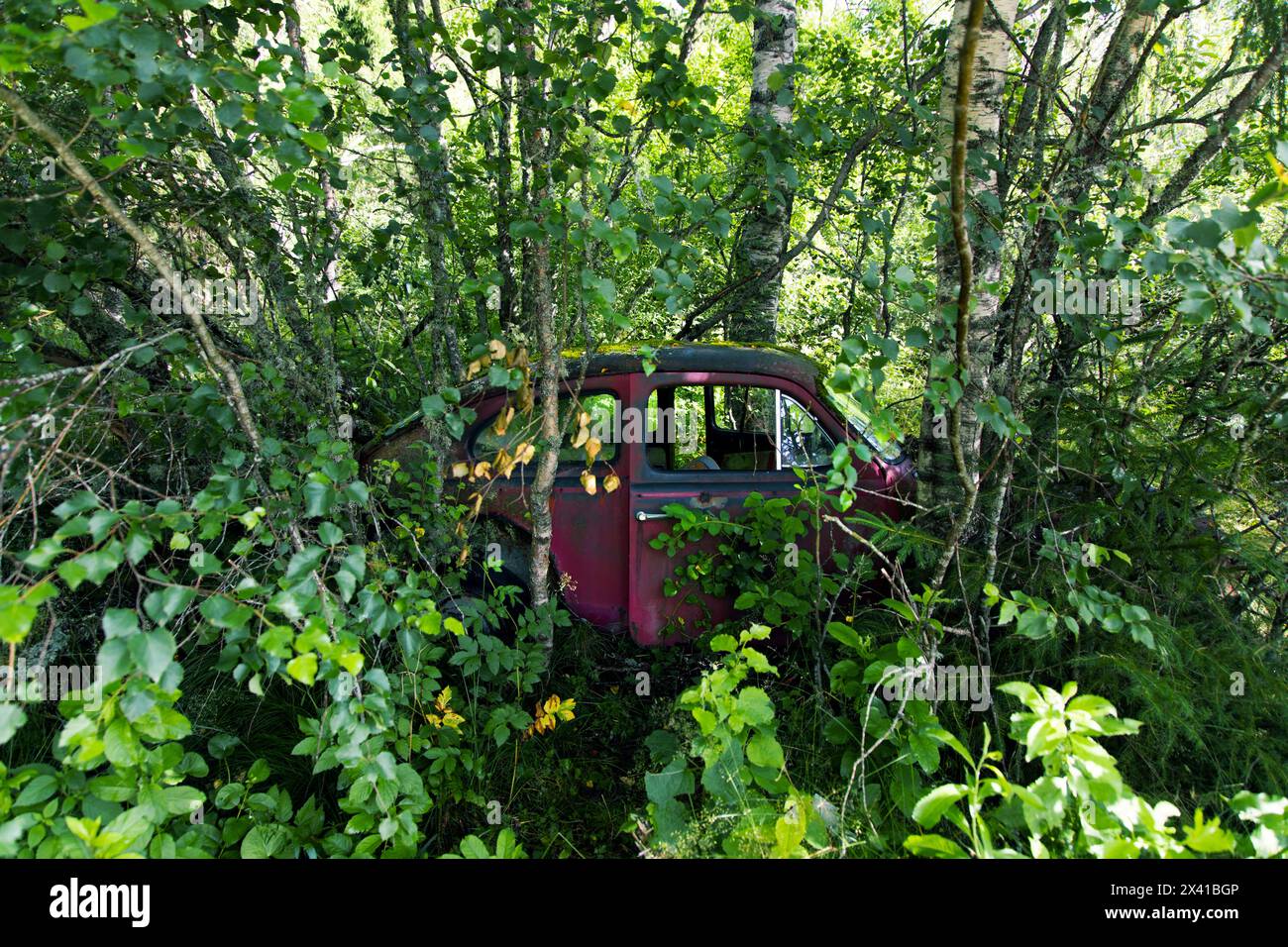 Europa, Scandinavia, Svezia. cimitero delle auto Foto Stock