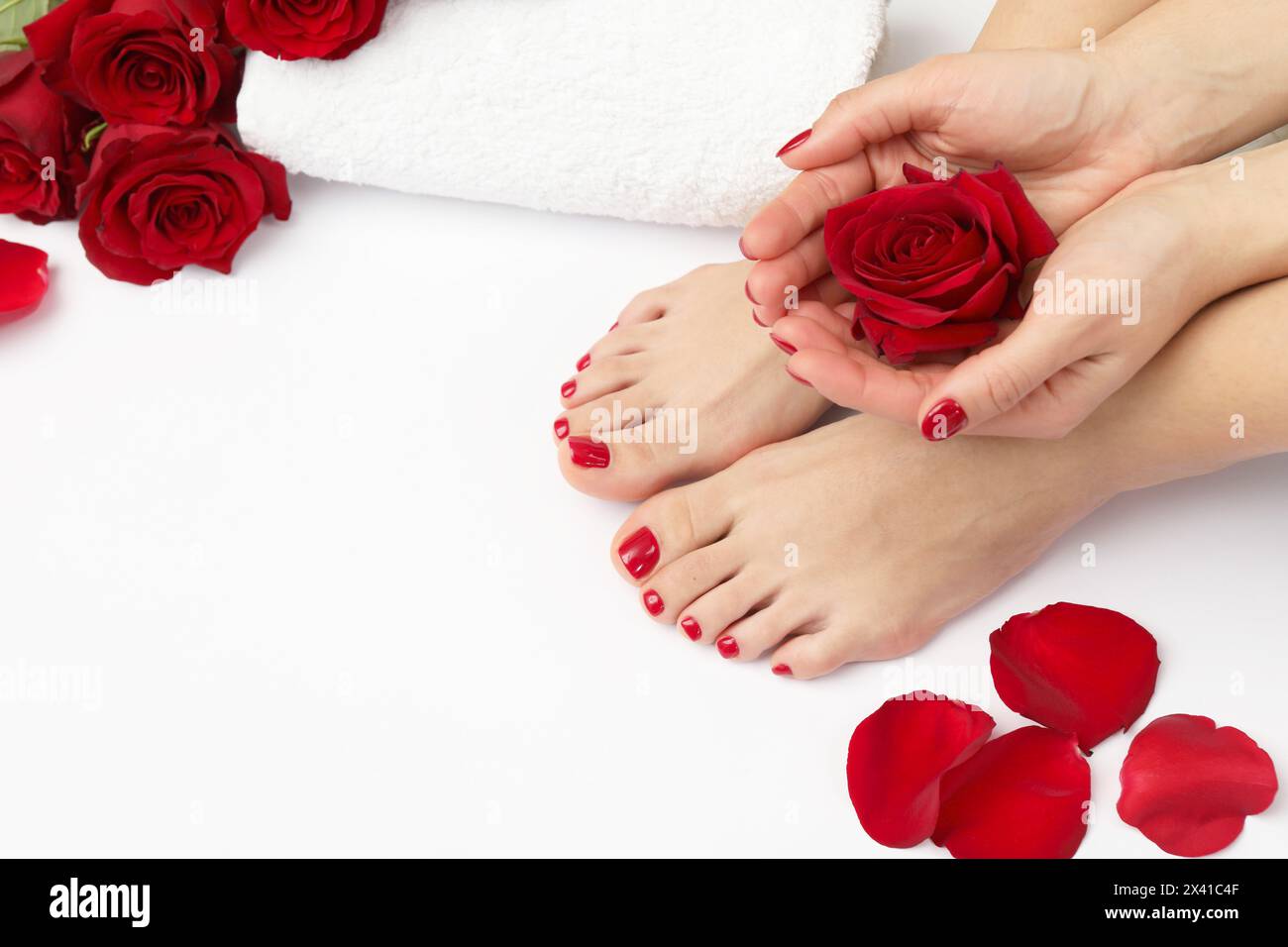 Donna con eleganti unghie rosse dopo la procedura di pedicure e fiori di rosa su sfondo bianco, primo piano. Spazio per il testo Foto Stock