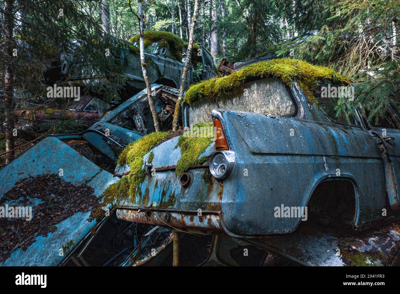 Europa, Scandinavia, Svezia. cimitero delle auto Foto Stock