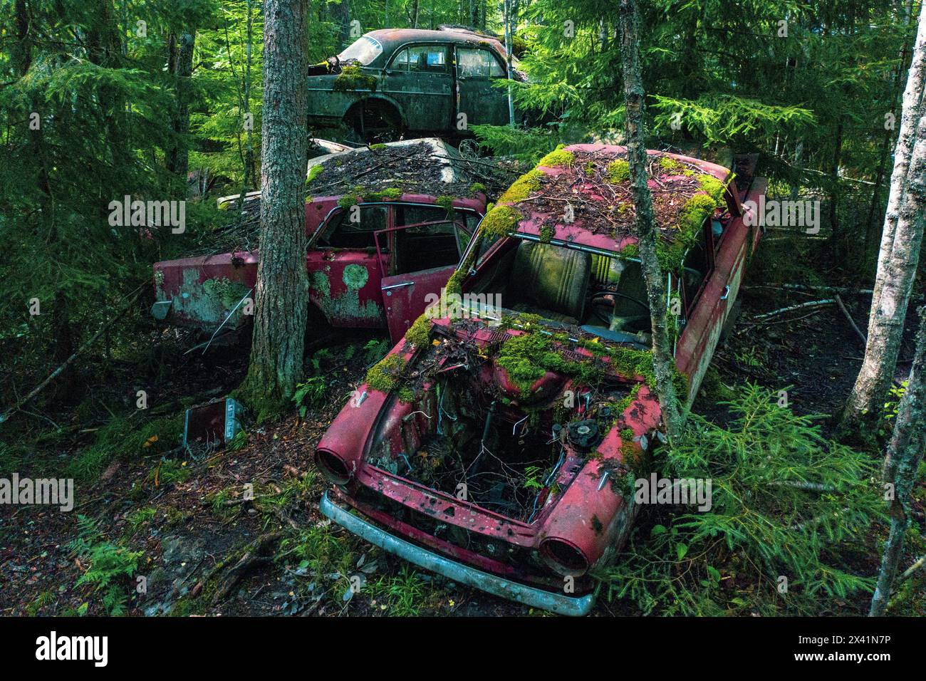 Europa, Scandinavia, Svezia. cimitero delle auto Foto Stock