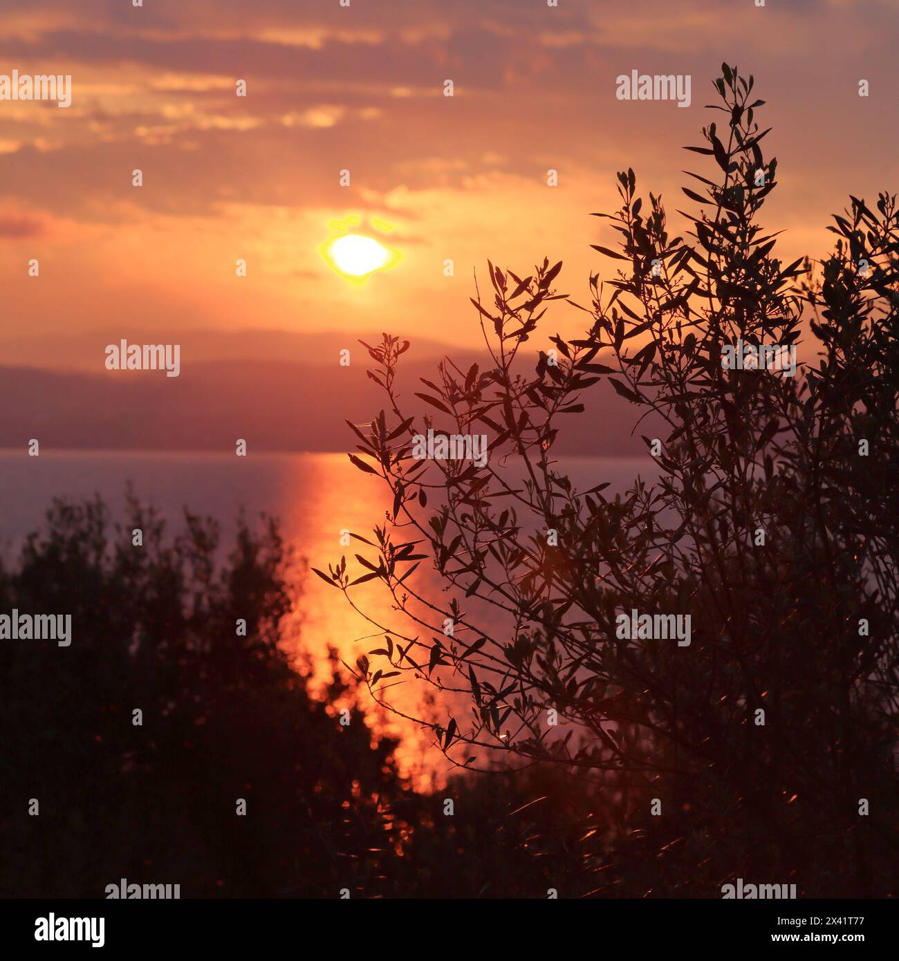 Tramonto sul Lago di Garda, penisola di Sirmione, Lago di Garda, Gardasee, Italia Foto Stock