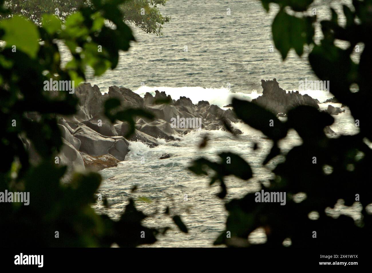 Il paesaggio di una spiaggia rocciosa è fotografato attraverso la vegetazione nella foresta di Tangkoko, un importante habitat per il macaco crestato (Macaca nigra) nel nord di Sulawesi, Indonesia. Il cambiamento climatico è uno dei principali fattori che influenzano la biodiversità in tutto il mondo a un ritmo allarmante secondo un team di scienziati guidato da Antonio Acini Vasquez-Aguilar nel loro documento del marzo 2024 sulla valutazione di Environ Monit. L'Unione Internazionale per la conservazione della natura (IUCN) afferma anche che l'aumento delle temperature ha portato a cambiamenti ecologici, comportamentali e fisiologici nelle specie animali e nella biodiversità. Foto Stock