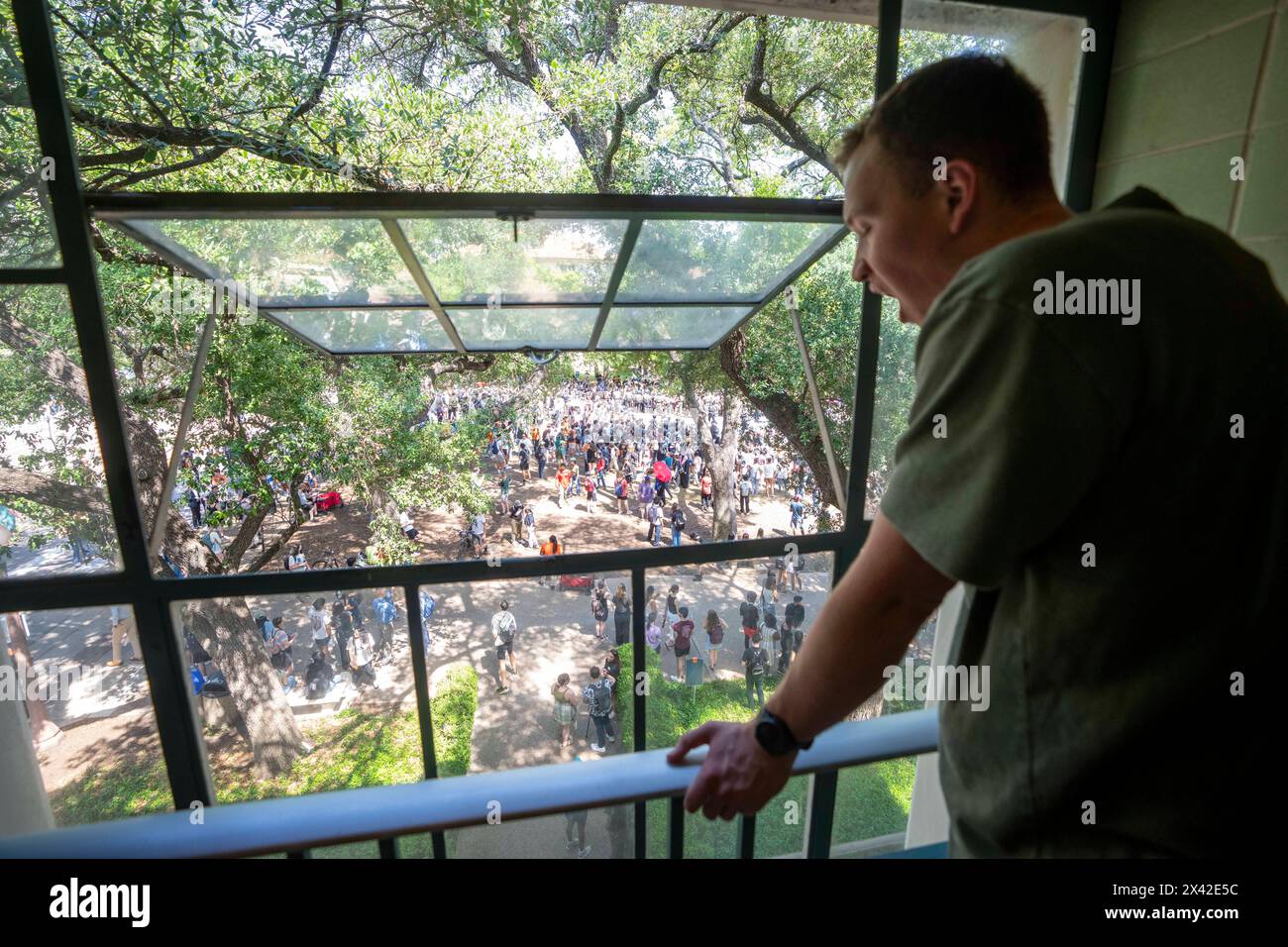 Austin, Texas, Stati Uniti. 29 aprile 2024. Uno studente guarda da un edificio scolastico mentre la polizia arresta i manifestanti filo-palestinesi all'Università del Texas ad Austin. Il campus fu scosso da dimostrazioni per un terzo giorno di fila quando decine di studenti e sostenitori tentarono di creare una tenda città sul South Lawn. I Texas State Troopers e gli agenti di polizia di Austin e del campus hanno arrestato decine di manifestanti e hanno evacuato l'accampamento. Crediti: Bob Daemmrich/Alamy Live News Foto Stock