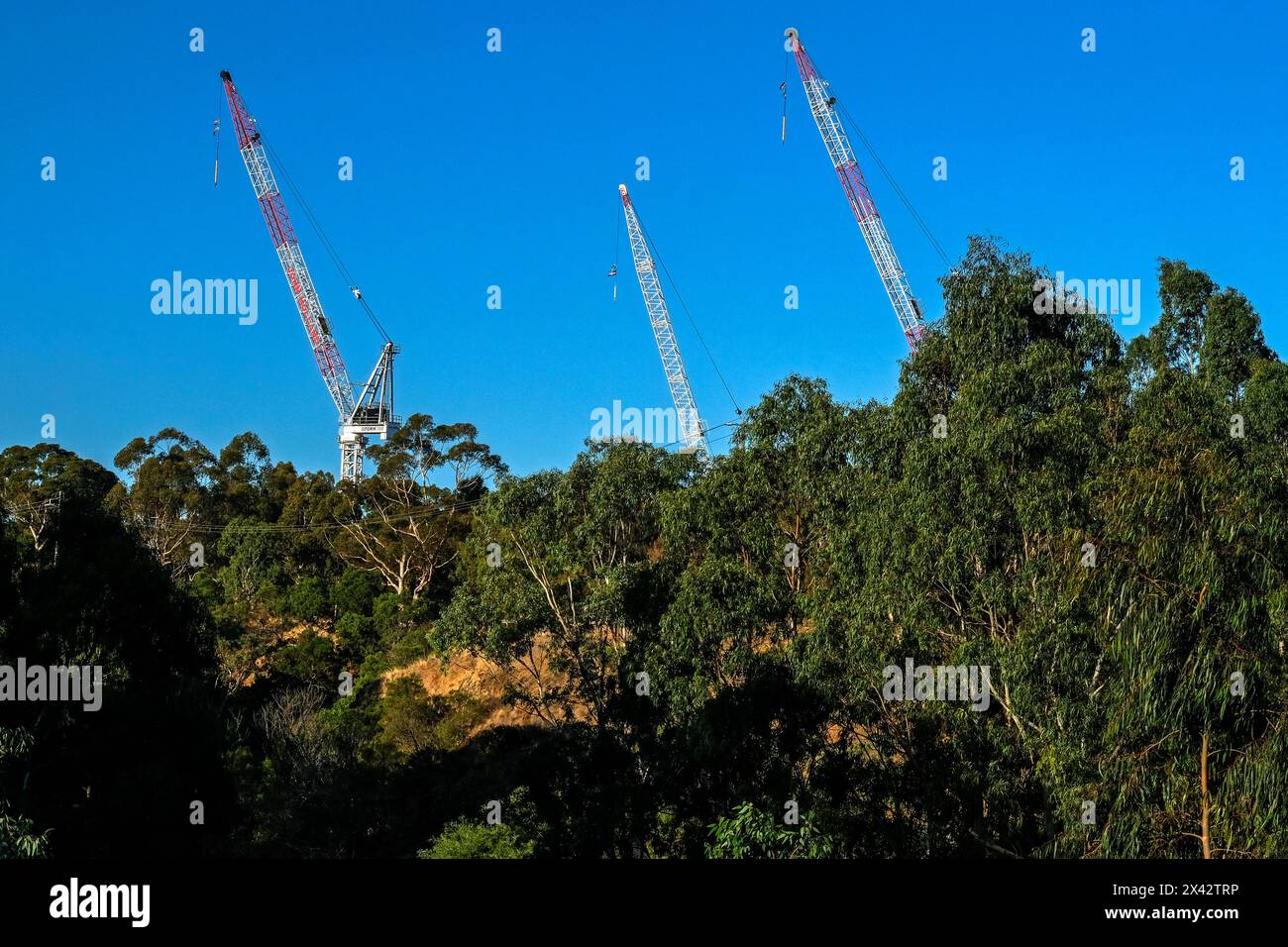 Le gru di un cantiere pendono sul Bush vicino a Merri creek a Clifton Hill, Melbourne, Victoria, Australia Foto Stock