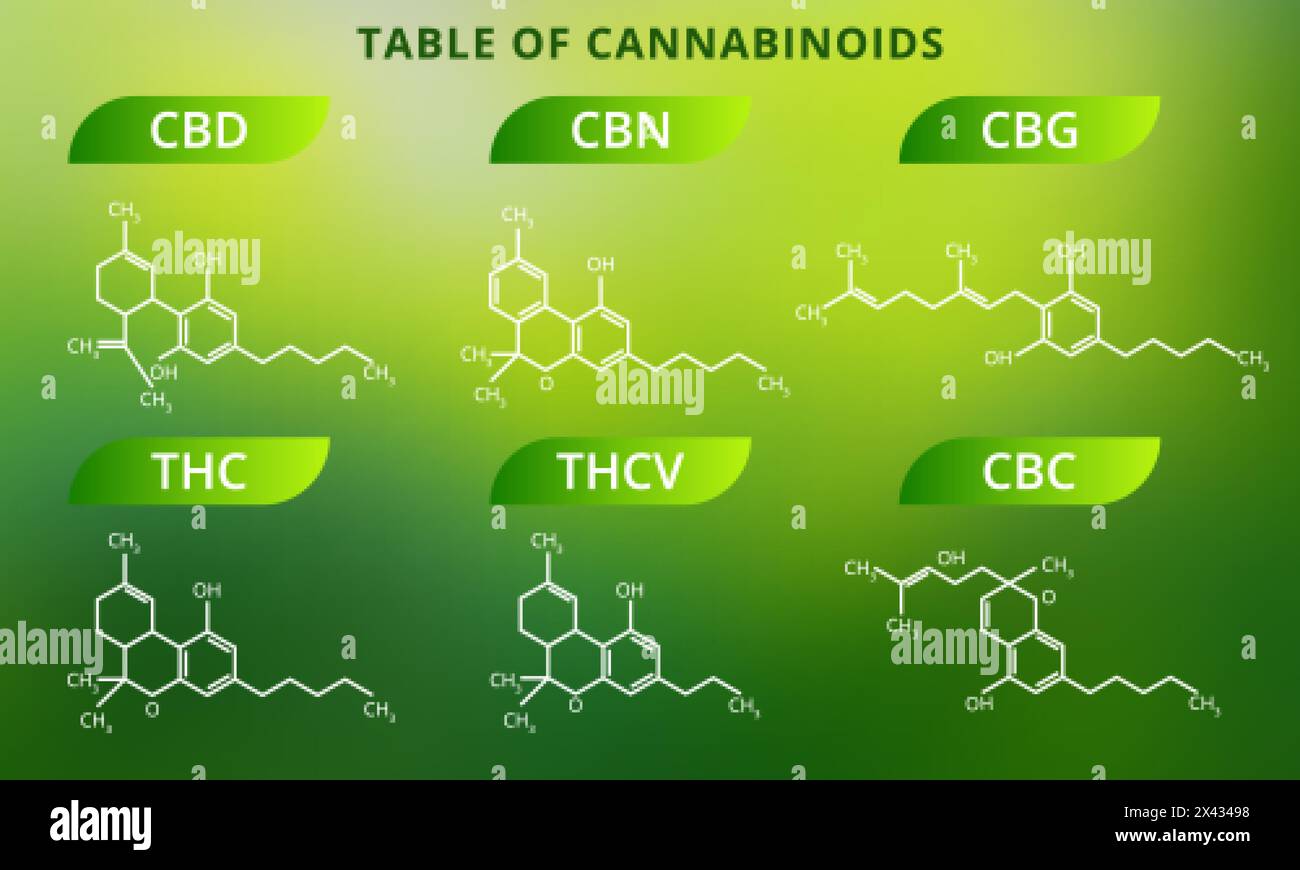 Formule chimiche di cannabinoidi naturali. Illustrazione vettoriale Illustrazione Vettoriale