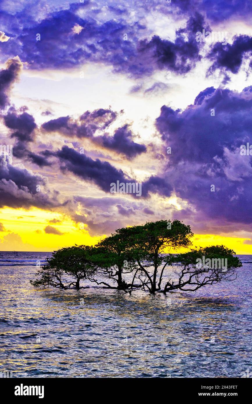 Gili Trawangan Island al largo della costa di Lombok, Indonesia. Sabbia bianca, acqua calda e limpida con un'atmosfera tropicale rilassata. Foto Stock