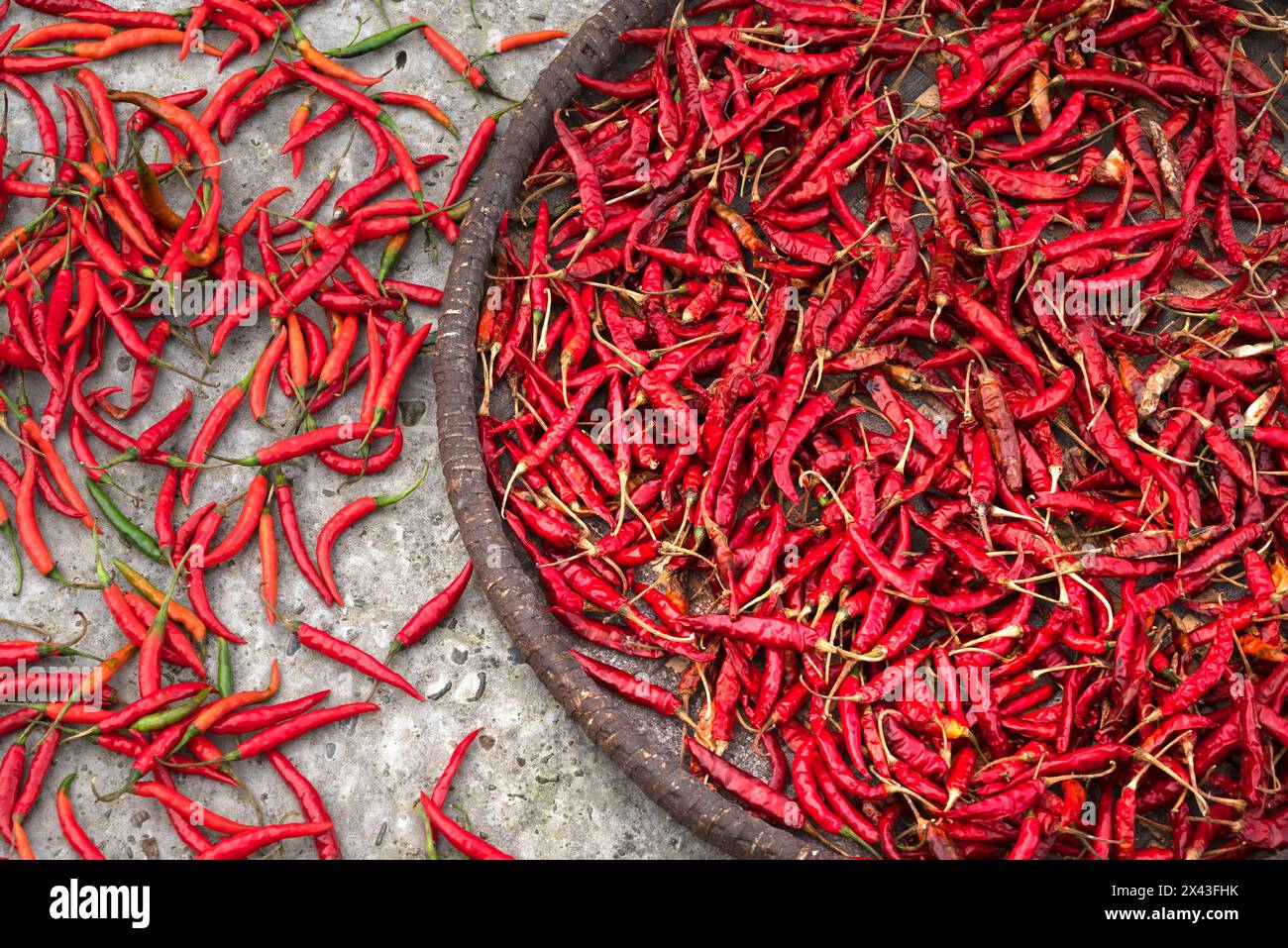 Nepal, essiccare i peperoni sul marciapiede Foto Stock