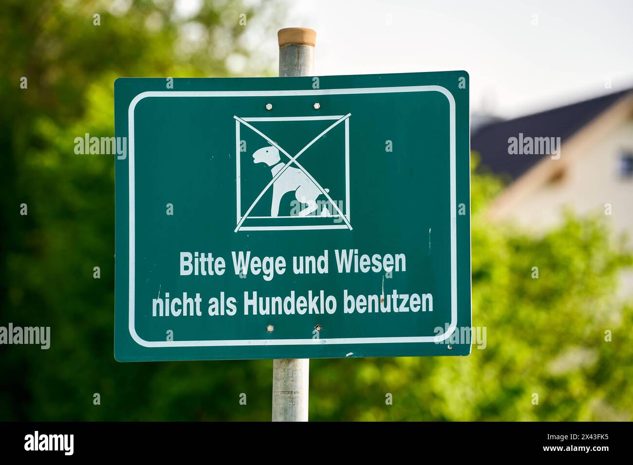 Langweid, Baviera, Germania - 29 aprile 2024: Cartello, si prega di non utilizzare sentieri e prati come rifiuti di cani *** Schild, Bitte Wege und Wiesen nicht als Hundeklo benutzen Foto Stock
