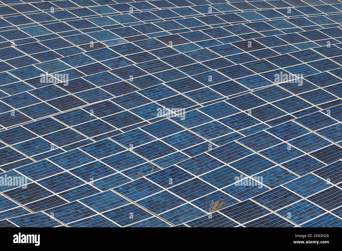 Un campo riempito di pannelli solari in una centrale solare. Les Mees, Provenza, Francia. Foto Stock