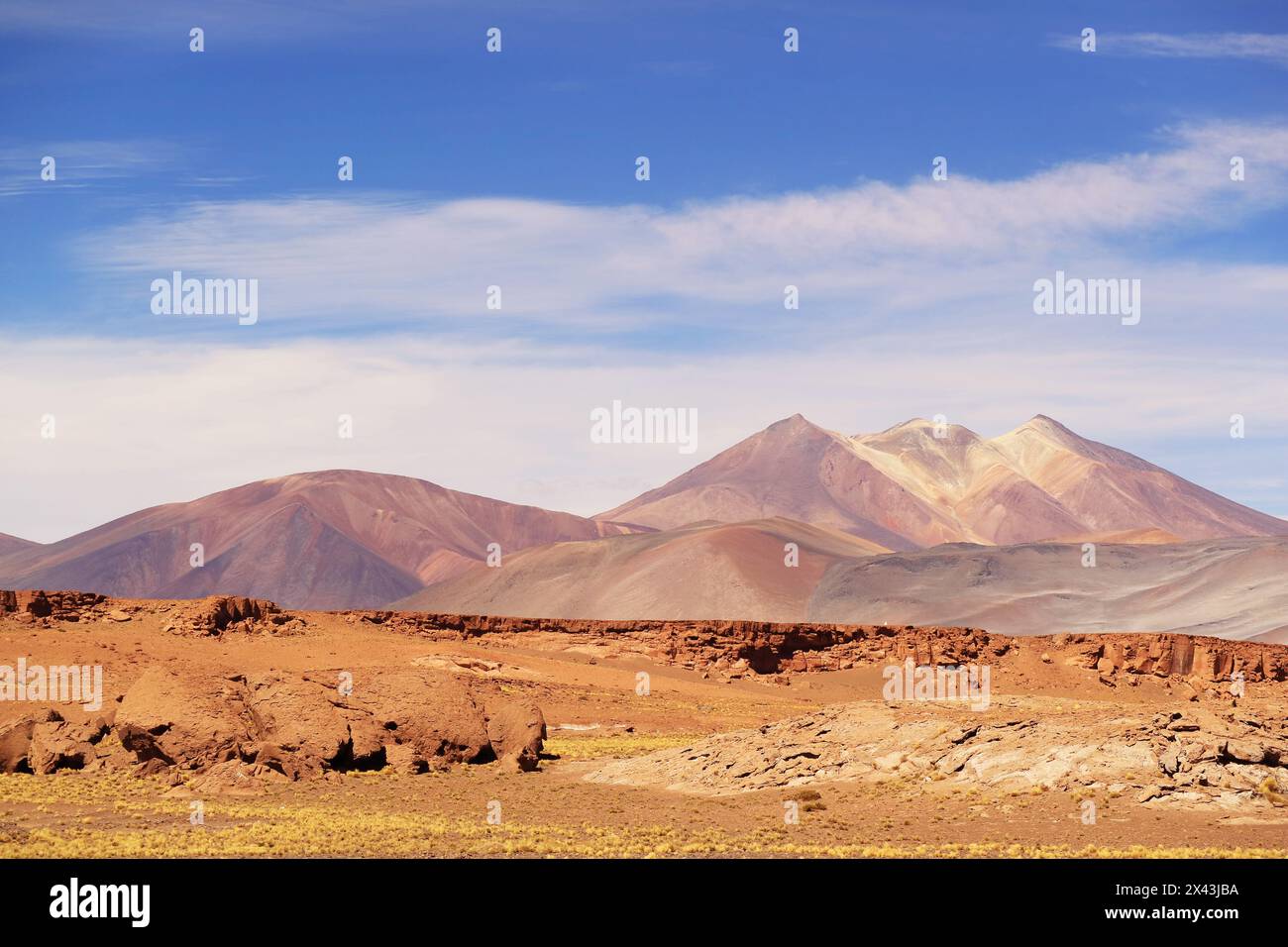 Fantastico altopiano della riserva nazionale di Los Flamencos, deserto di Atacama, Altipano cileno, Cile, Sud America Foto Stock