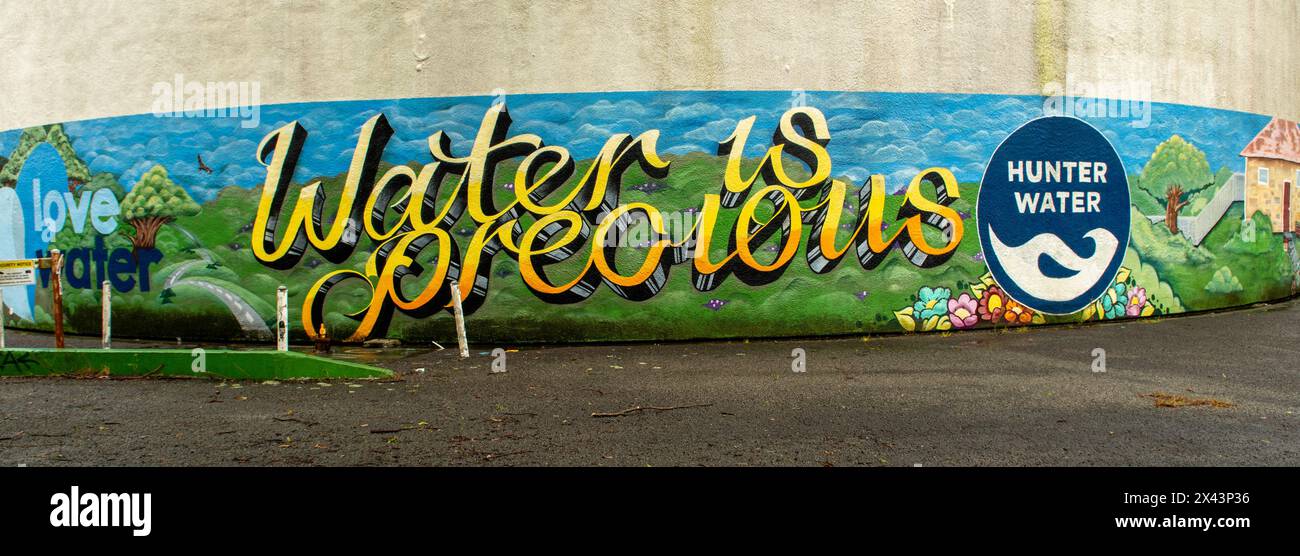 Water Tank Art di Up and Up Inspirations, Charlestown, NSW, Australia Foto Stock
