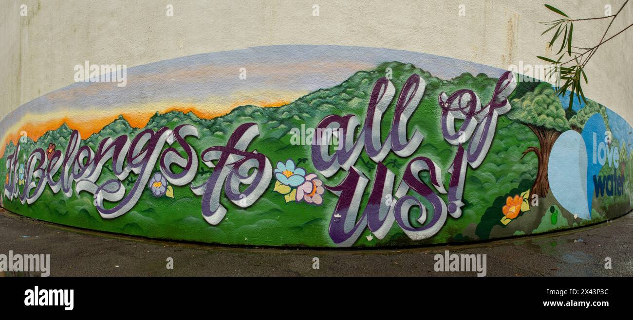 Water Tank Art di Up and Up Inspirations, Charlestown, NSW, Australia Foto Stock