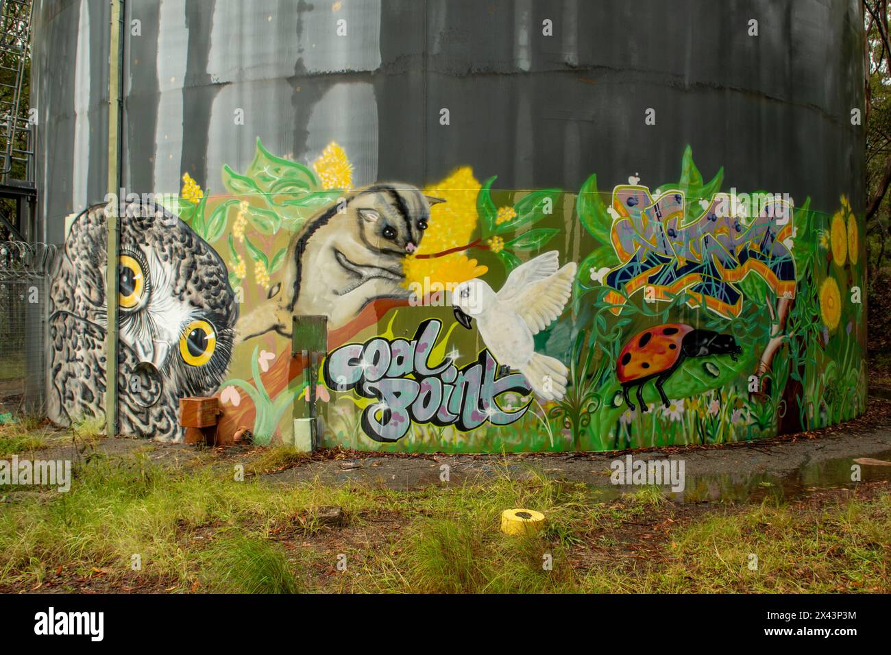 Water Tank Art di Dan Miller, Coal Point, NSW, Australia Foto Stock