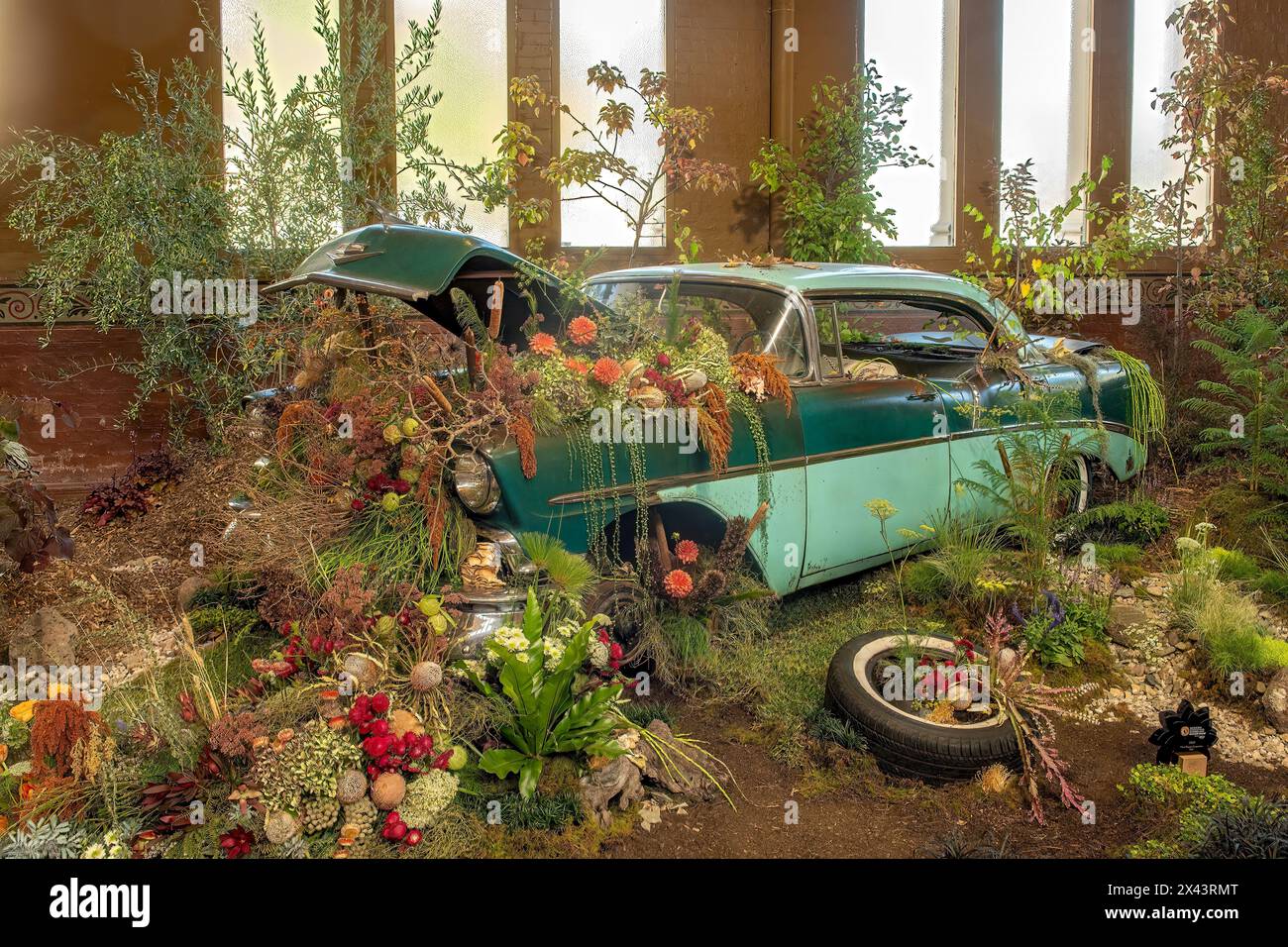 Esposizione floreale, Melbourne International Flower Show 2024, Carlton, Victoria, Australia Foto Stock