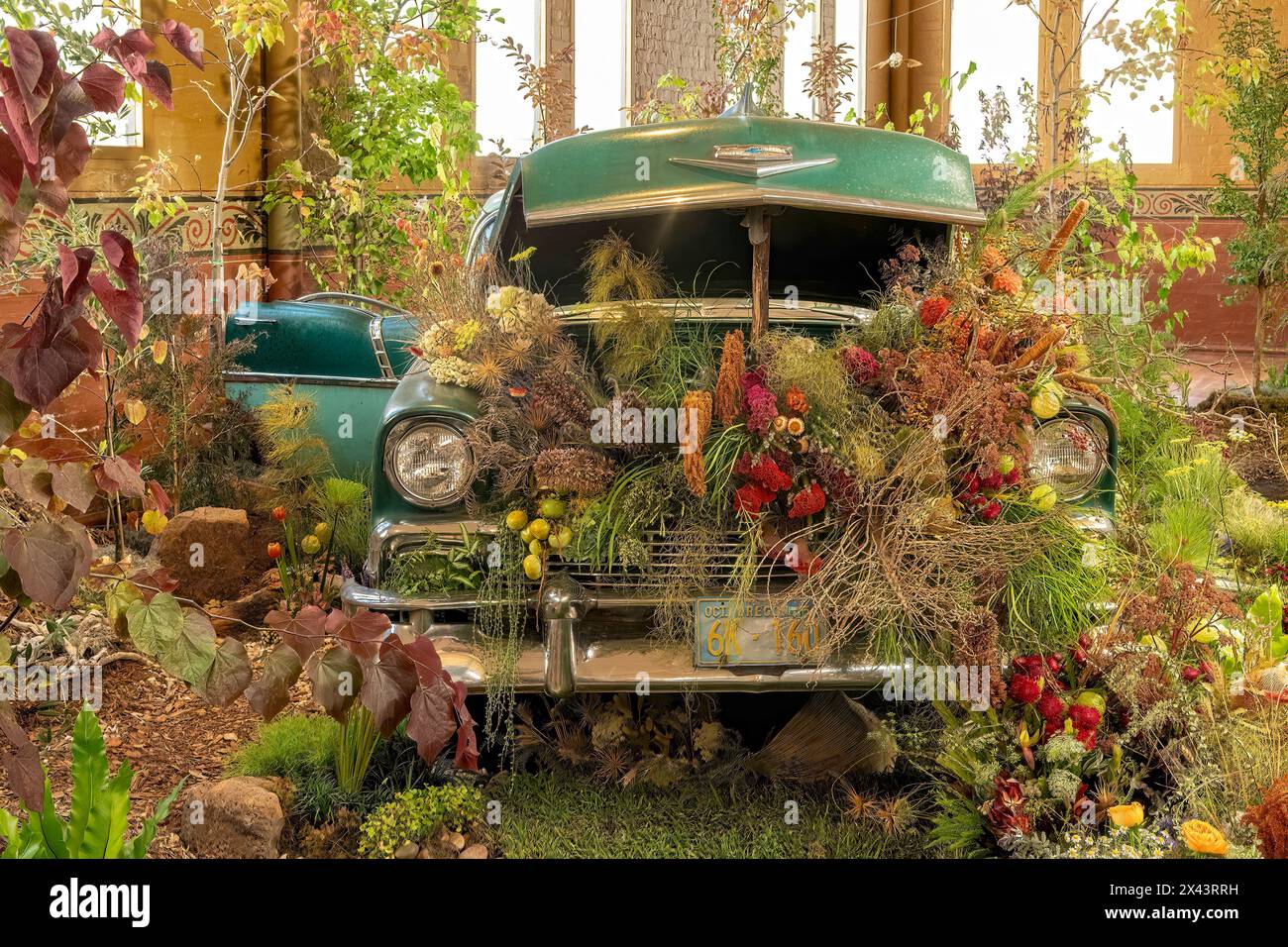 Esposizione floreale, Melbourne International Flower Show 2024, Carlton, Victoria, Australia Foto Stock