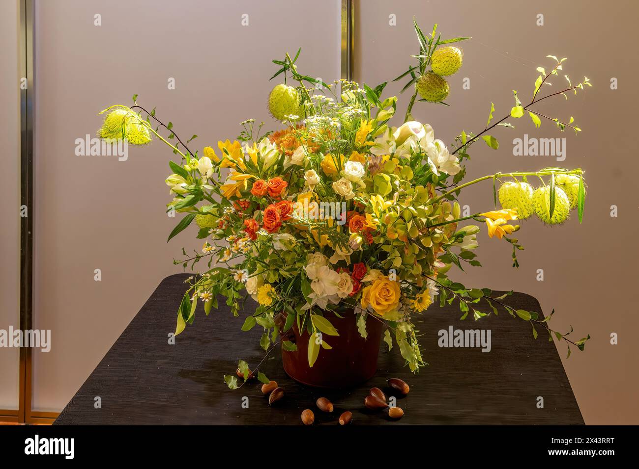 Esposizione floreale, Melbourne International Flower Show 2024, Carlton, Victoria, Australia Foto Stock