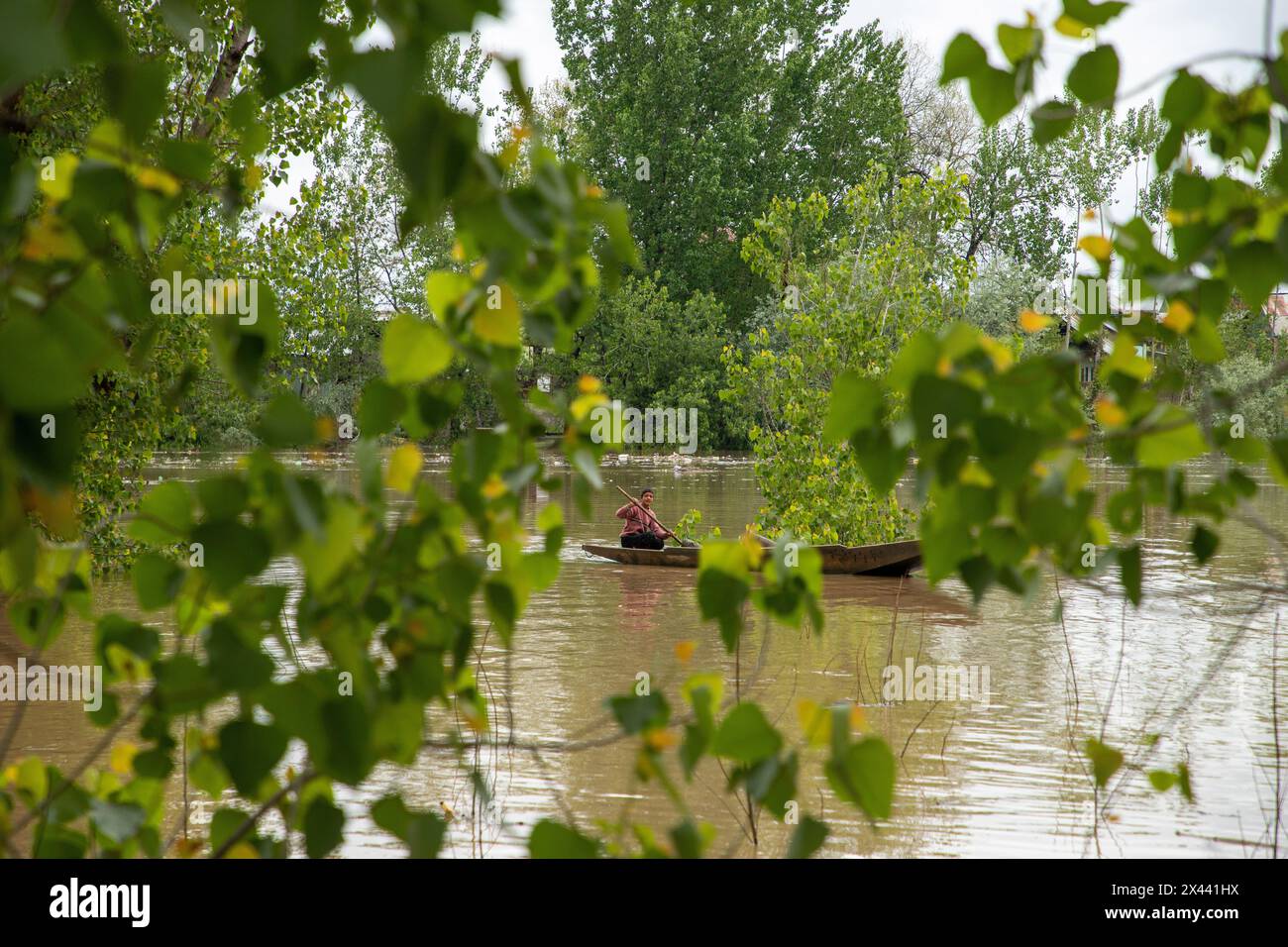 Un ragazzo che guidava la sua barca mentre il livello dell'acqua nel fiume Jhelum attraversava il segno della "dichiarazione di inondazione" a Srinagar martedì mattina. Il tempo dovrebbe migliorare da domani a Jammu e Kashmir, con il dipartimento meteorologico locale che prevede condizioni generalmente nuvolose fino al 5 maggio. (Foto di Faisal Bashir / SOPA Images/Sipa USA) Foto Stock