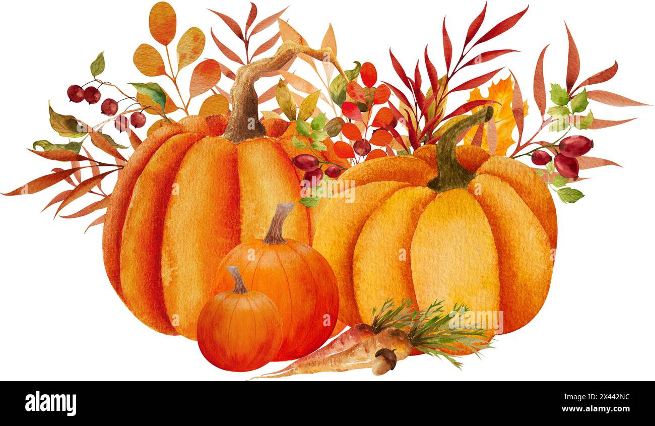 Autunno, allestimento, decorazione autunnale, illustrazione, zucca, fiori, bacche, rose, raccolto, arancia Foto Stock