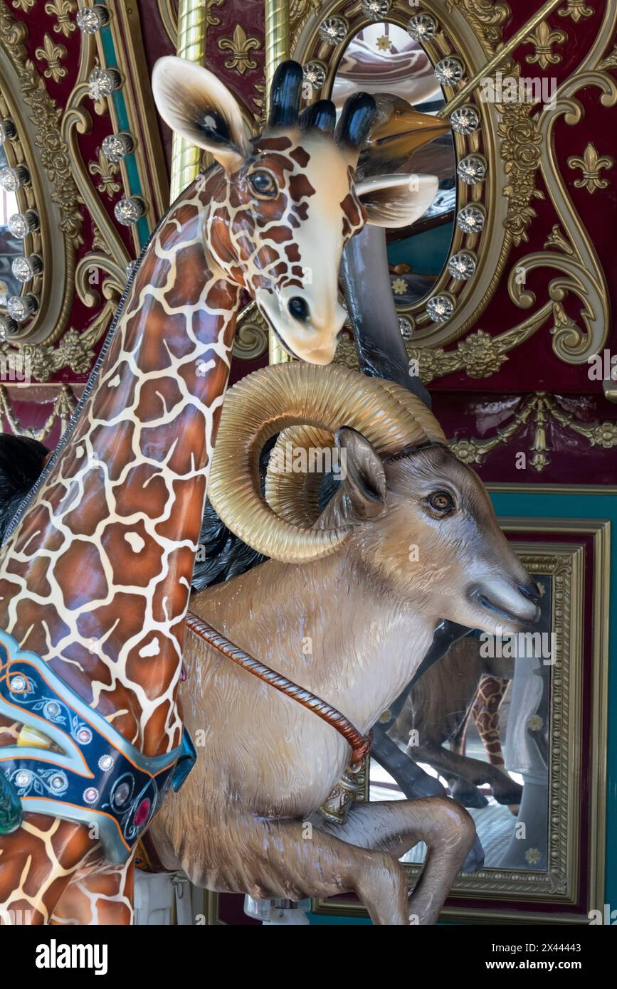 Stati Uniti, California. Giostra presso il Living Desert Zoo and Gardens, Palm Desert. Foto Stock