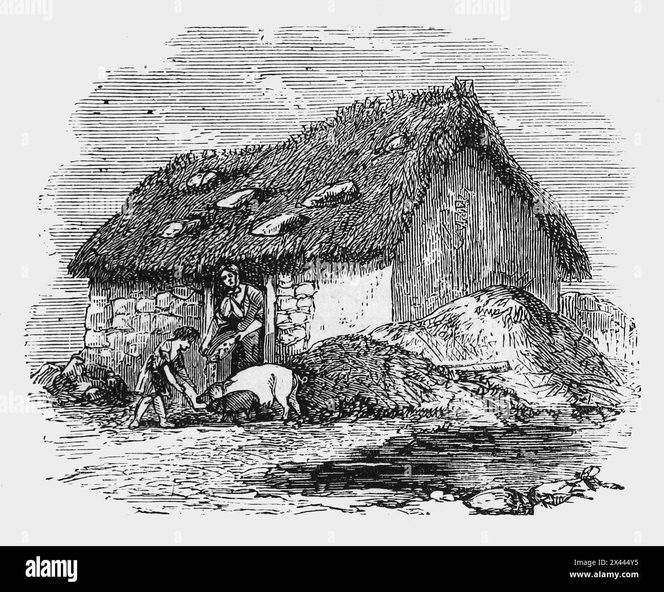 A Hovel in the far West of Ireland 19th Century; Illustration from Cassell's History of England, vol VII. New Edition pubblicato Circ 1873-5. Foto Stock