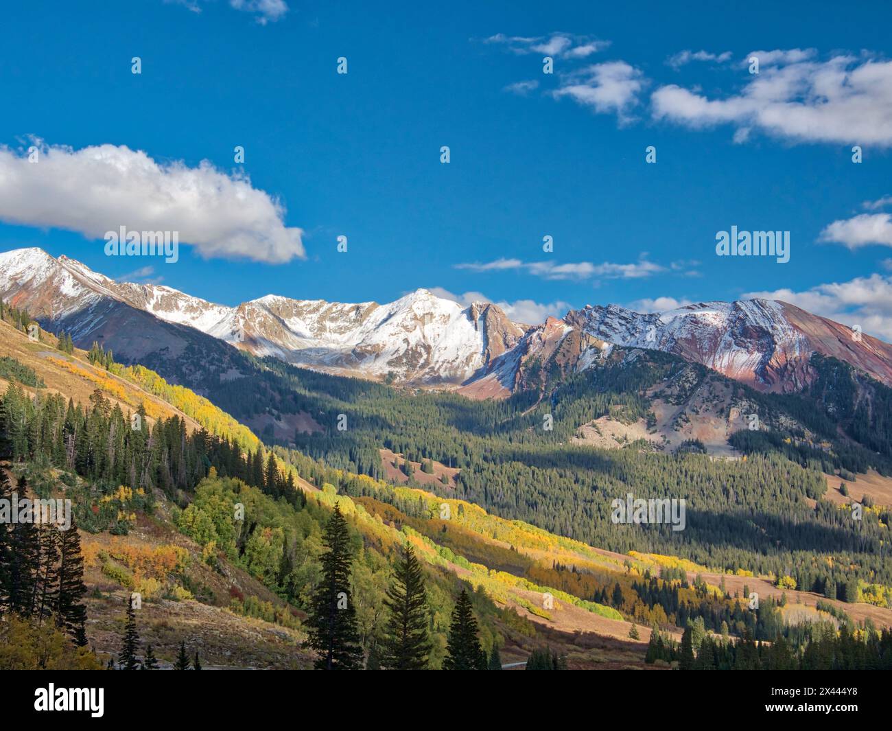 USA, Colorado, passo di Kebler. Fogliame autunnale e pioppi al loro apice, vicino a Crested Butte Foto Stock