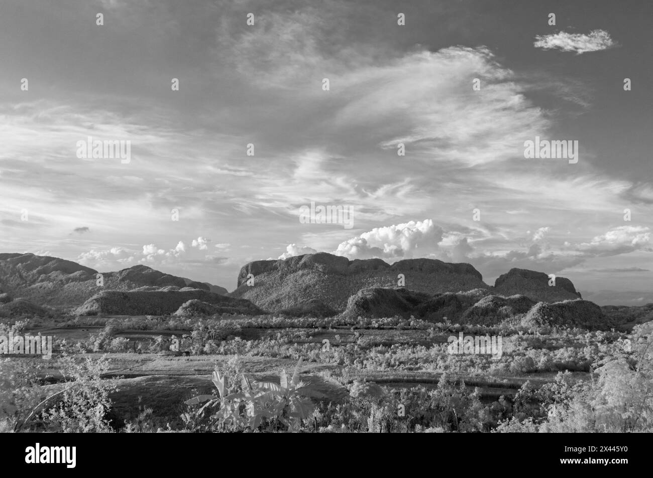 Una foto di paesaggio a infrarossi scattata guardando attraverso la valle di Vinales al suggestivo paesaggio carsico. Vicino a Vinales, Cuba. Foto Stock