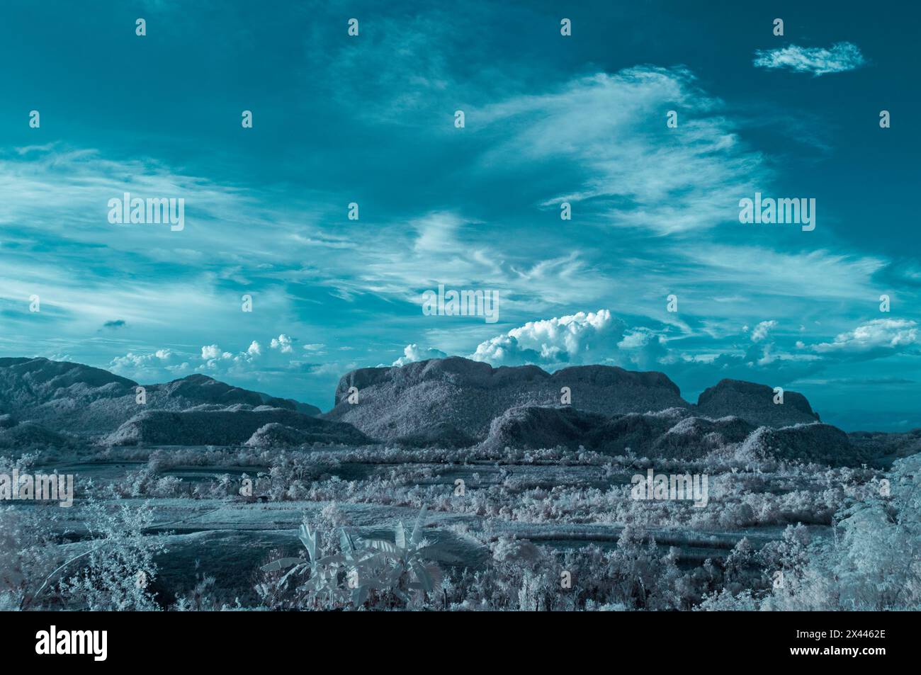 Una foto di paesaggio a infrarossi scattata guardando attraverso la valle di Vinales al suggestivo paesaggio carsico. Vicino a Vinales, Cuba. Foto Stock