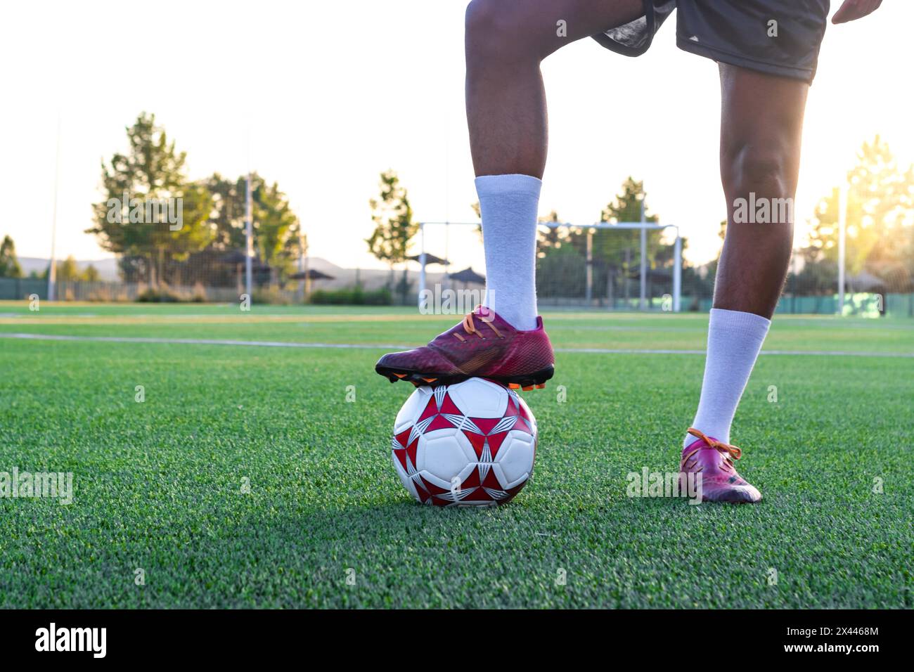 Ritratto del giocatore di calcio sul campo con il piede sulla palla. Giocatore di calcio maschile con il piede sulla palla sull'erba Foto Stock