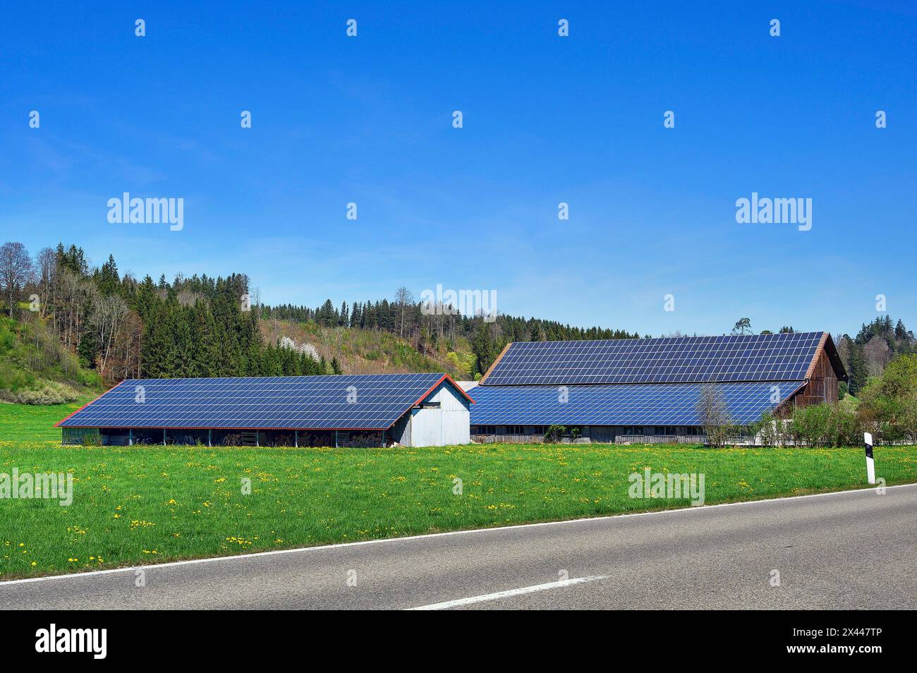 Fienili con tetti solari, Allgaeu, Svevia, Baviera, Germania Foto Stock