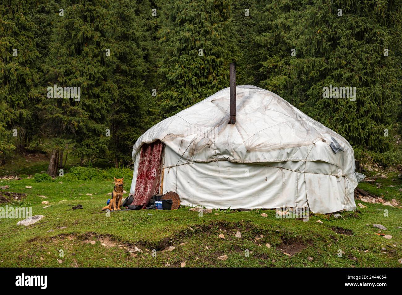 Yurt, anche Terskey Ala, Kirghizistan Foto Stock