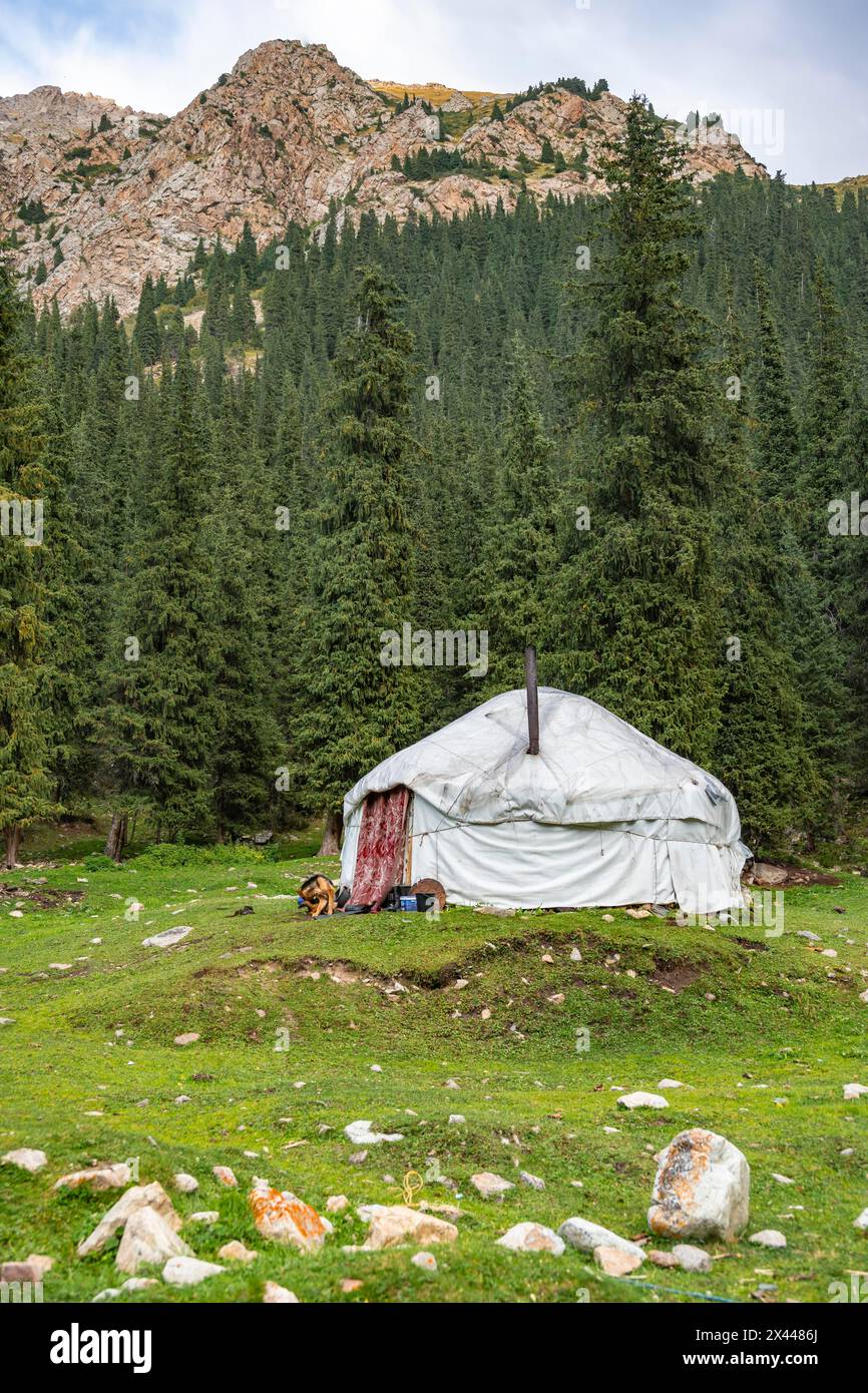 Yurt, anche Terskey Ala, Kirghizistan Foto Stock