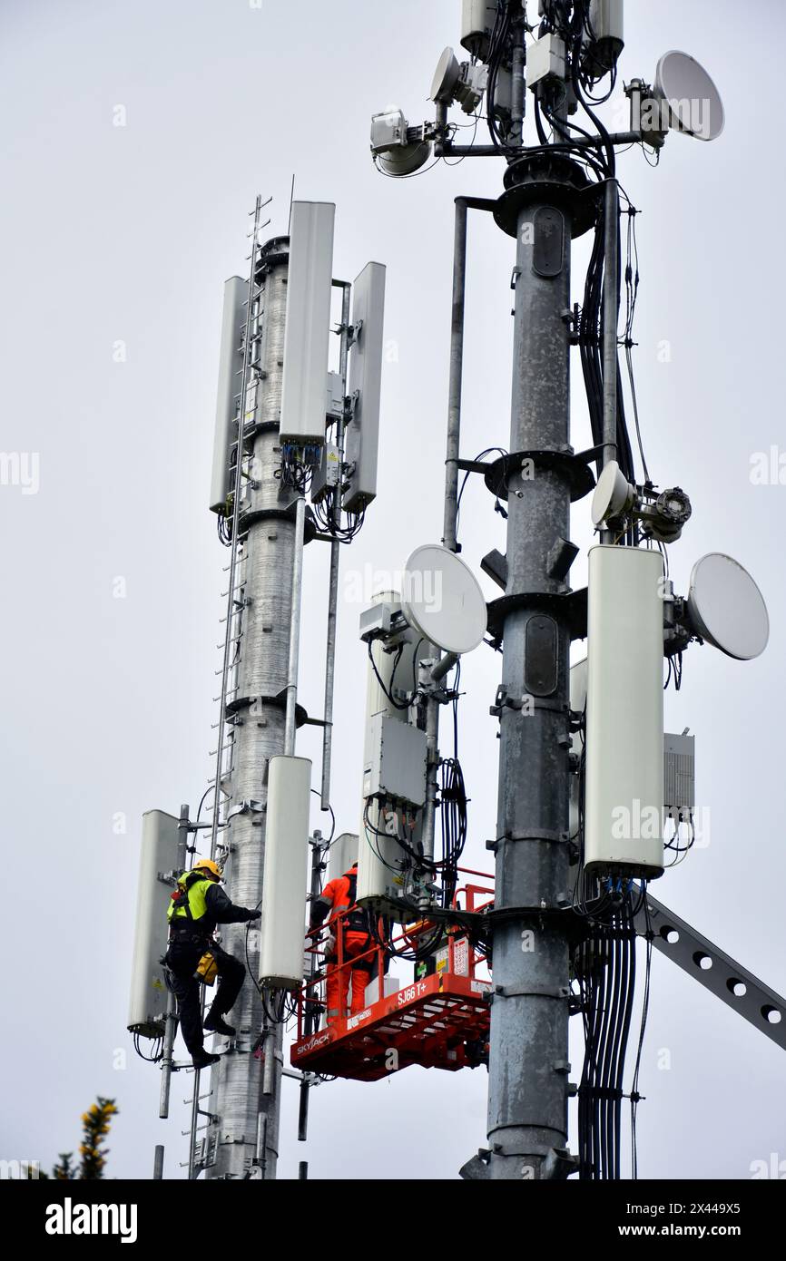 Gli ingegneri delle telecomunicazioni lavorano su un albero ad Ardara, Contea di Donegal, Irlanda. Foto Stock
