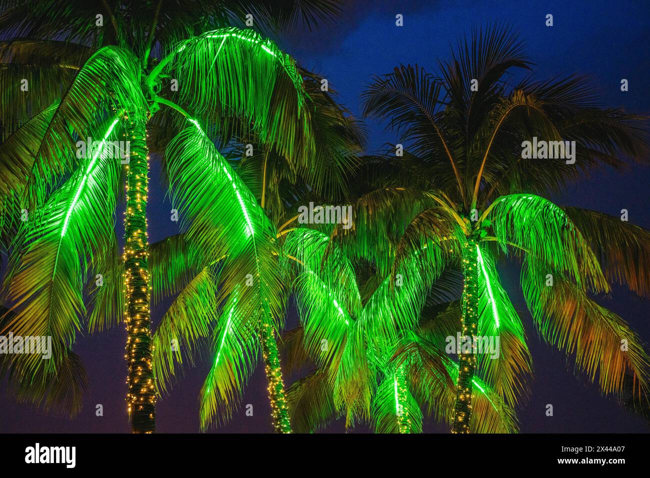 Luci al neon, Ocean Drive, Miami Beach, Florida, Stati Uniti Foto Stock