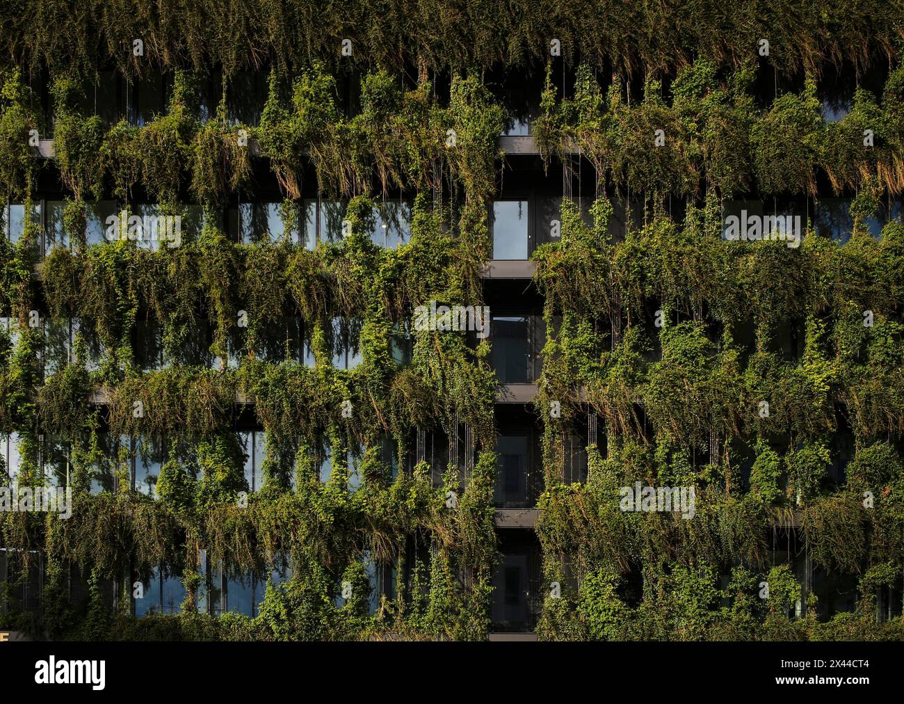 Facciata climaticamente neutra, verde sul nuovo edificio, edificio per uffici di CMS Hasche Sigle, Calwer Strasse, Stoccarda, Baden-Wuerttemberg, Germania Foto Stock