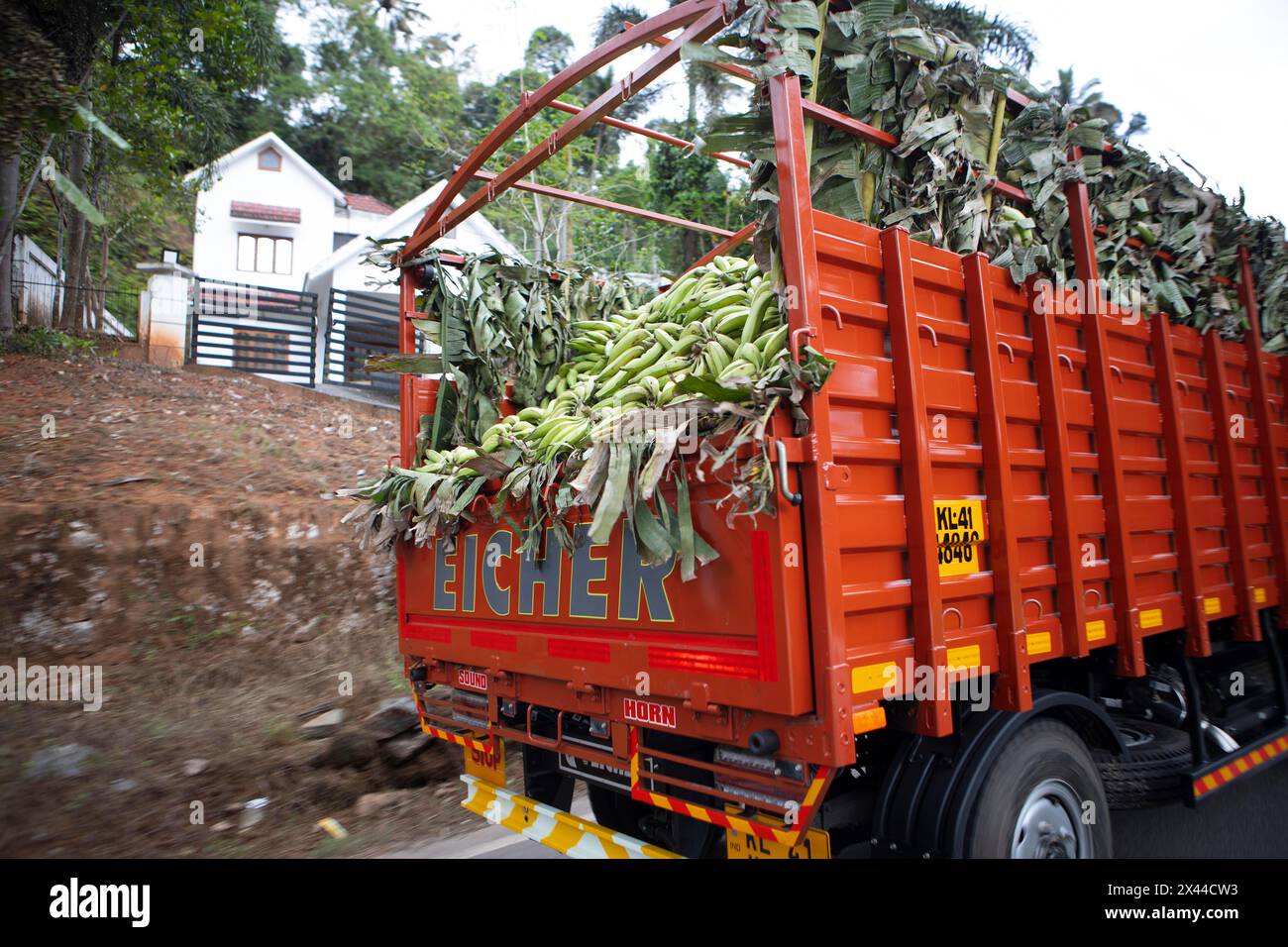Il trasporto di banane su camion, Munnar, Kerala, India Foto Stock