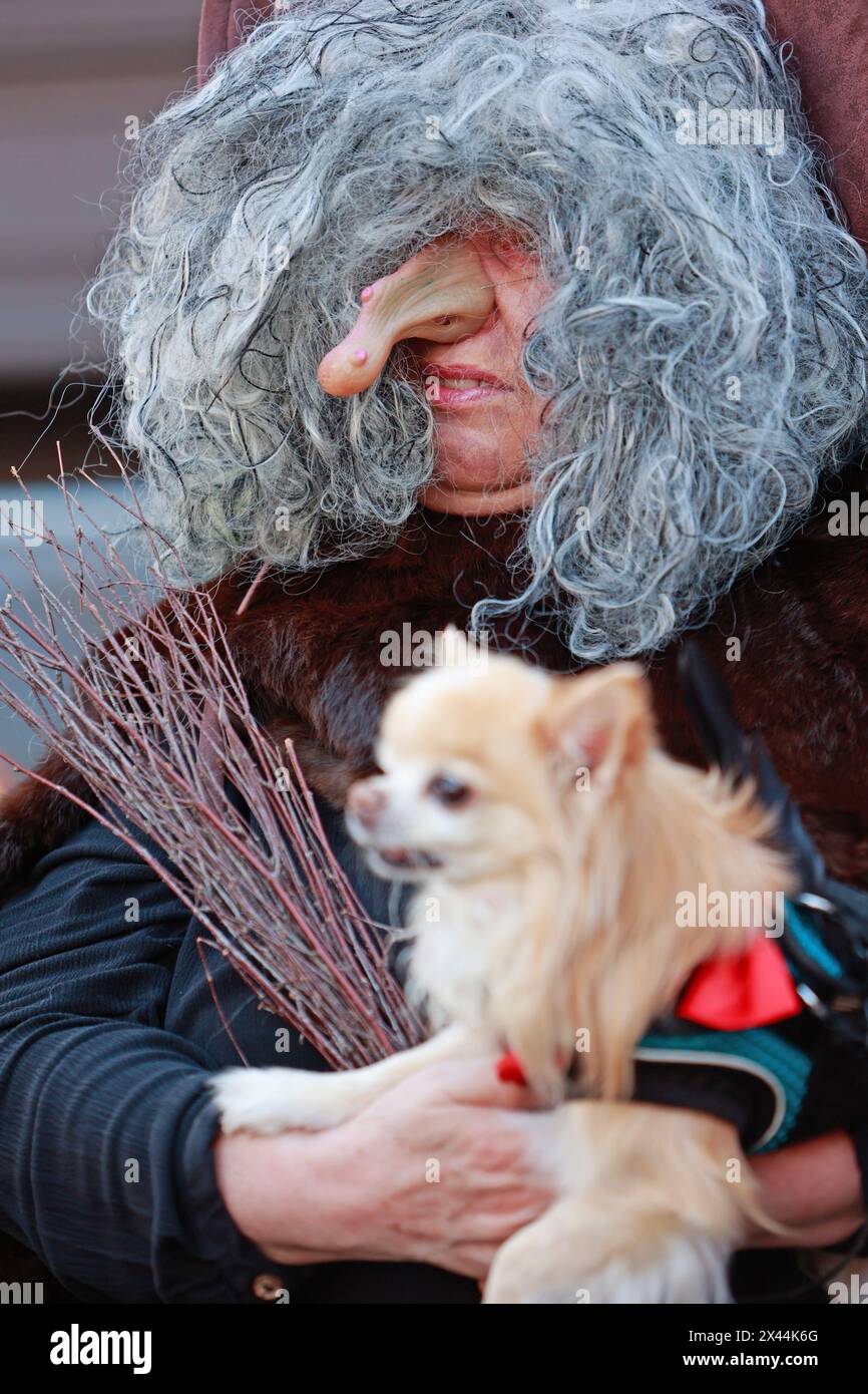 Wernigerode, Germania. 30 aprile 2024. Un ospite Walpurgis vestito da strega conquista il municipio nella città di Wernigerode nel pomeriggio. Le celebrazioni di Walpurgis si svolgono oggi in molti luoghi delle montagne Harz. Una delle più grandi celebrazioni è il festival Walpurgis a Thale. Dopo una pausa di quattro anni, i festeggiamenti si svolgono nuovamente qui per la prima volta sulla Hexentanzplatz. Crediti: Matthias Bein/dpa/Alamy Live News Foto Stock