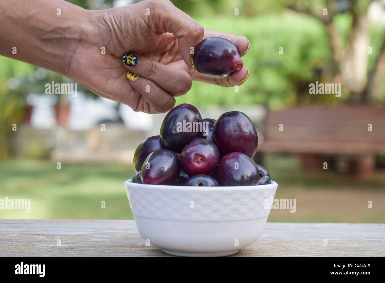 Frutta fresca di jamun in ciotola conosciuta come prugna di Giava, jambhul, prugna di jambolan, prugna nera, jamun di kaala Foto Stock