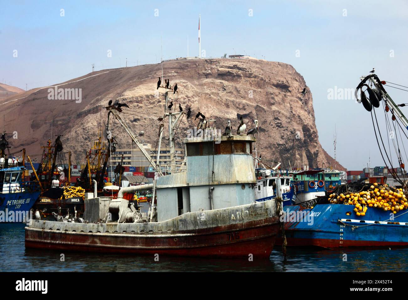 Pellicani e cormorani arroccati su vecchi escrementi di uccelli / barca da pesca coperta di guano ormeggiata nel porto, promontorio di El Morro sullo sfondo, Arica, Cile Foto Stock