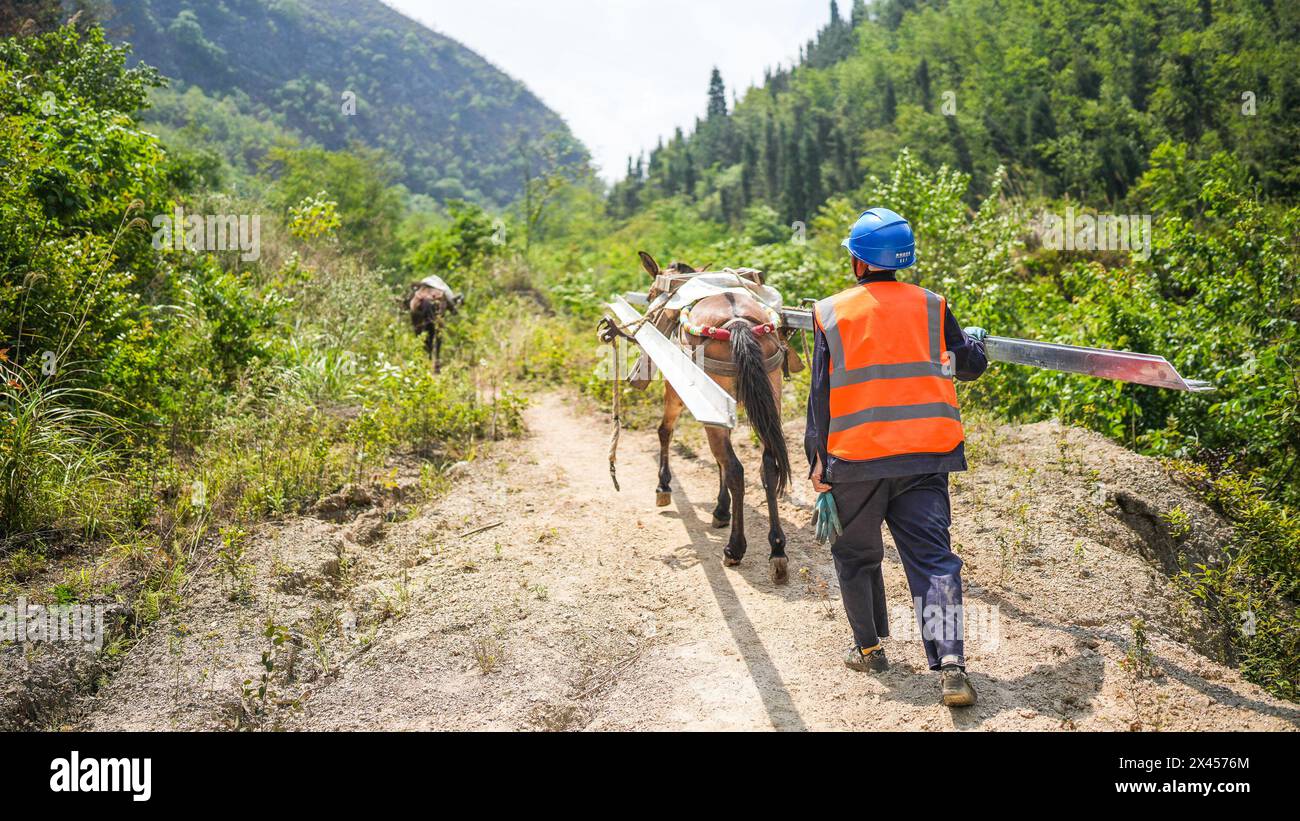 AnShun, la provincia cinese di Guizhou. 29 aprile 2024. Un lavoratore e un mulo con materiali da costruzione camminano nelle montagne della contea autonoma di Zhenning Buyi e Miao, nella provincia di Guizhou, nel sud-ovest della Cina, 29 aprile 2024. La costruzione della sottostazione 500 kV Bahe di China Southern Power Grid è entrata di recente nella fase finale. Il completamento del progetto è previsto per la fine di giugno. Crediti: Tao Liang/Xinhua/Alamy Live News Foto Stock