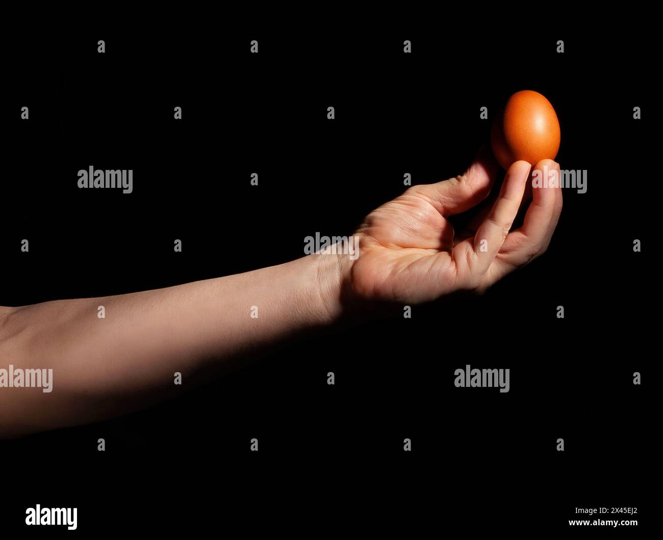 uovo in mano su sfondo nero Foto Stock