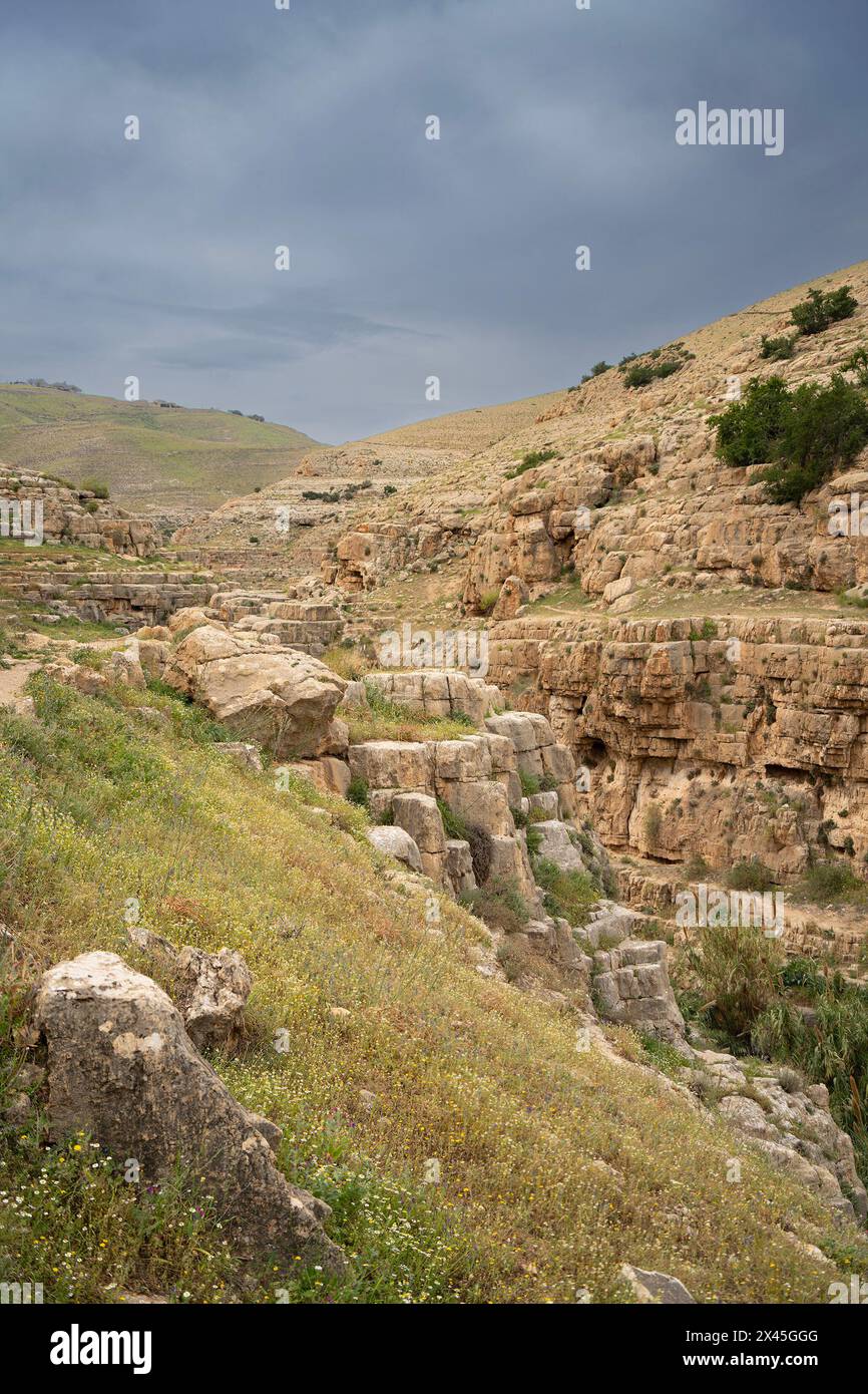 Un paesaggio di scogliere e grotte sulle rive del torrente Prat nelle colline del deserto della Giudea, Israele. Foto Stock