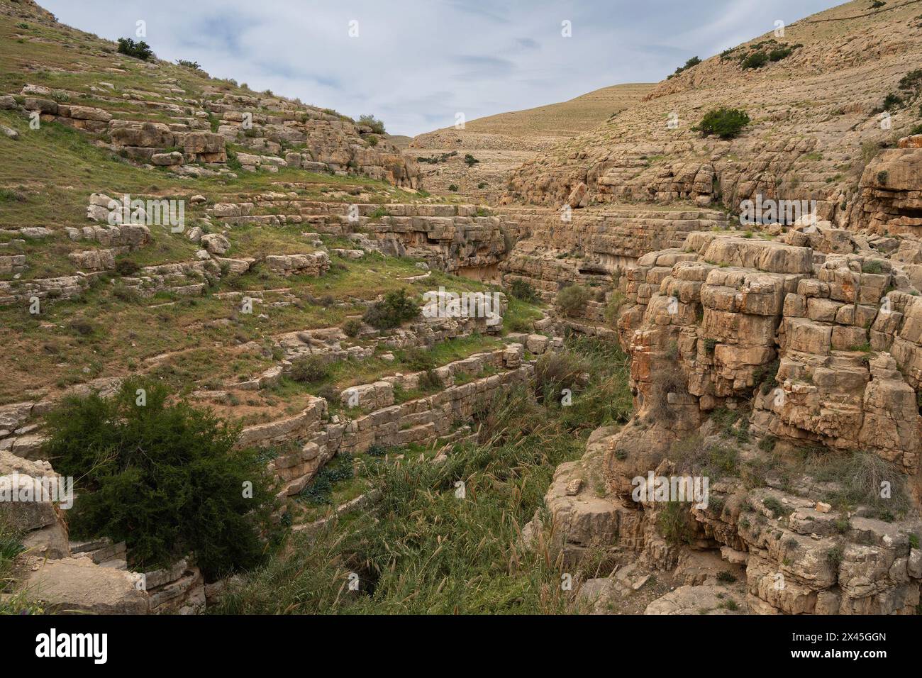 Un paesaggio di scogliere e grotte sulle rive del torrente Prat nelle colline del deserto della Giudea, Israele. Foto Stock