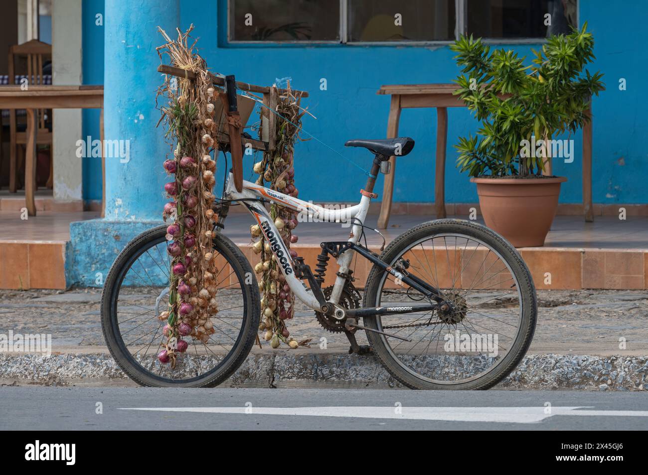 Una bicicletta venditrice di cipolle parcheggiata sul lato della strada principale attraverso il centro di Vinales, Cuba Foto Stock