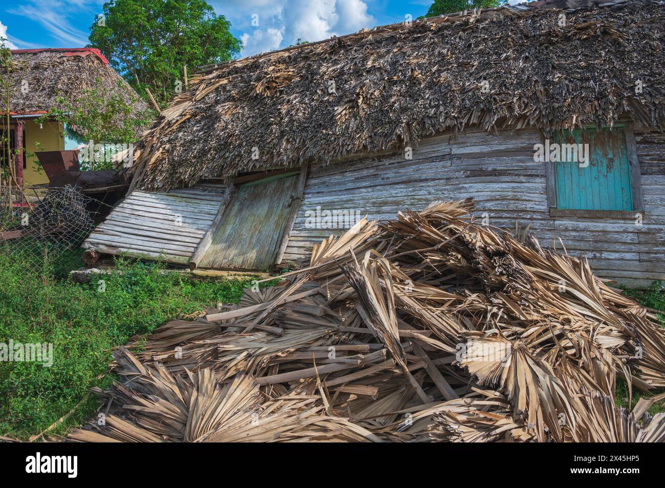 I resti di una casa che è stata appiattita nell'ultimo uragano a colpire quella parte di Cuba. Vinales, Cuba Foto Stock