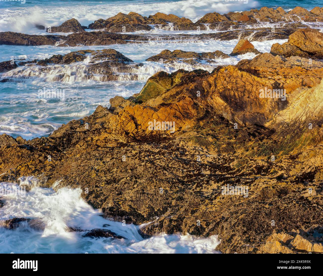 Surf, Montana de Oro state Park, San Luis Obispo County, California Foto Stock