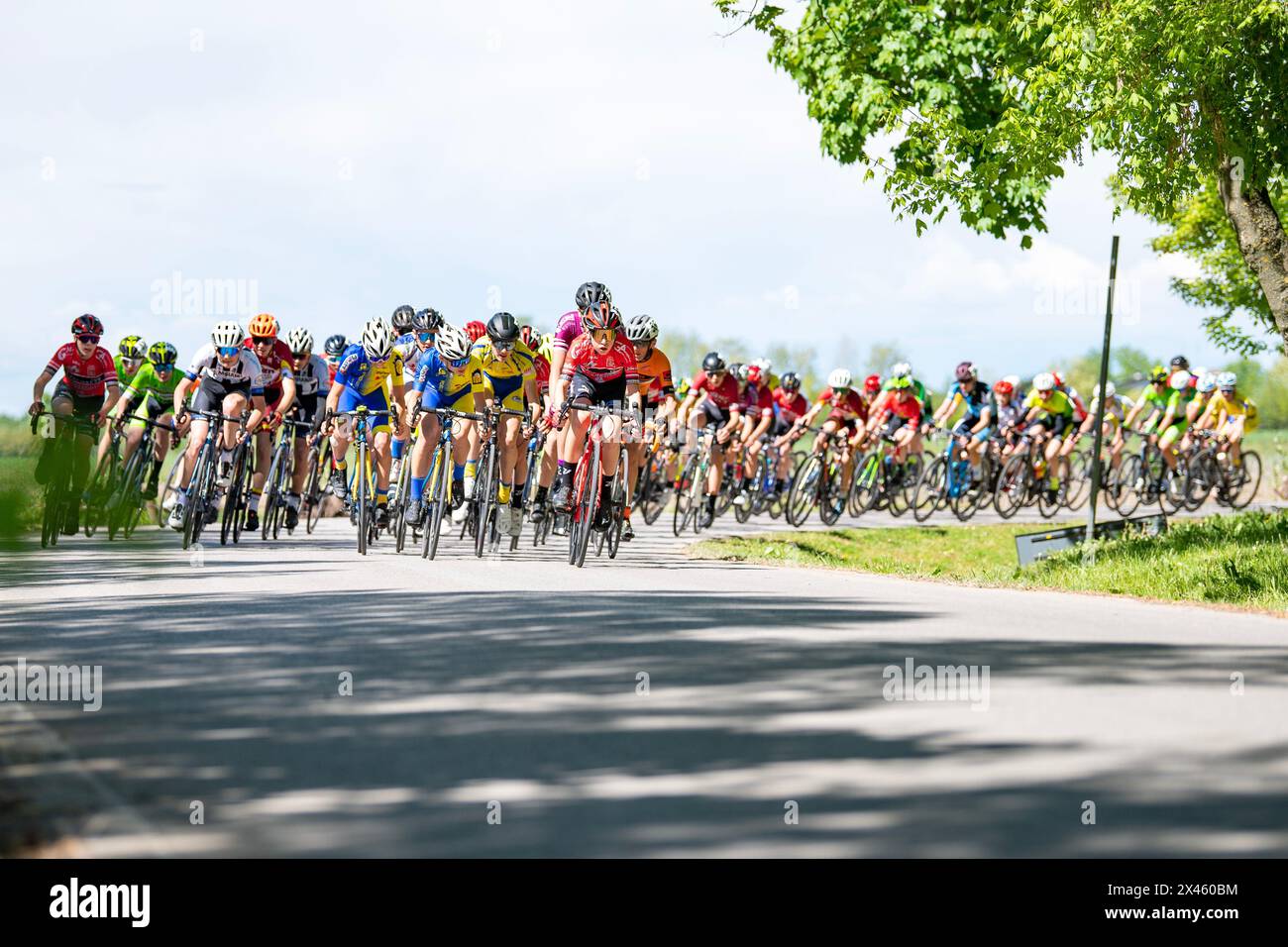 ciclismo, gara ciclistica, sport Foto Stock