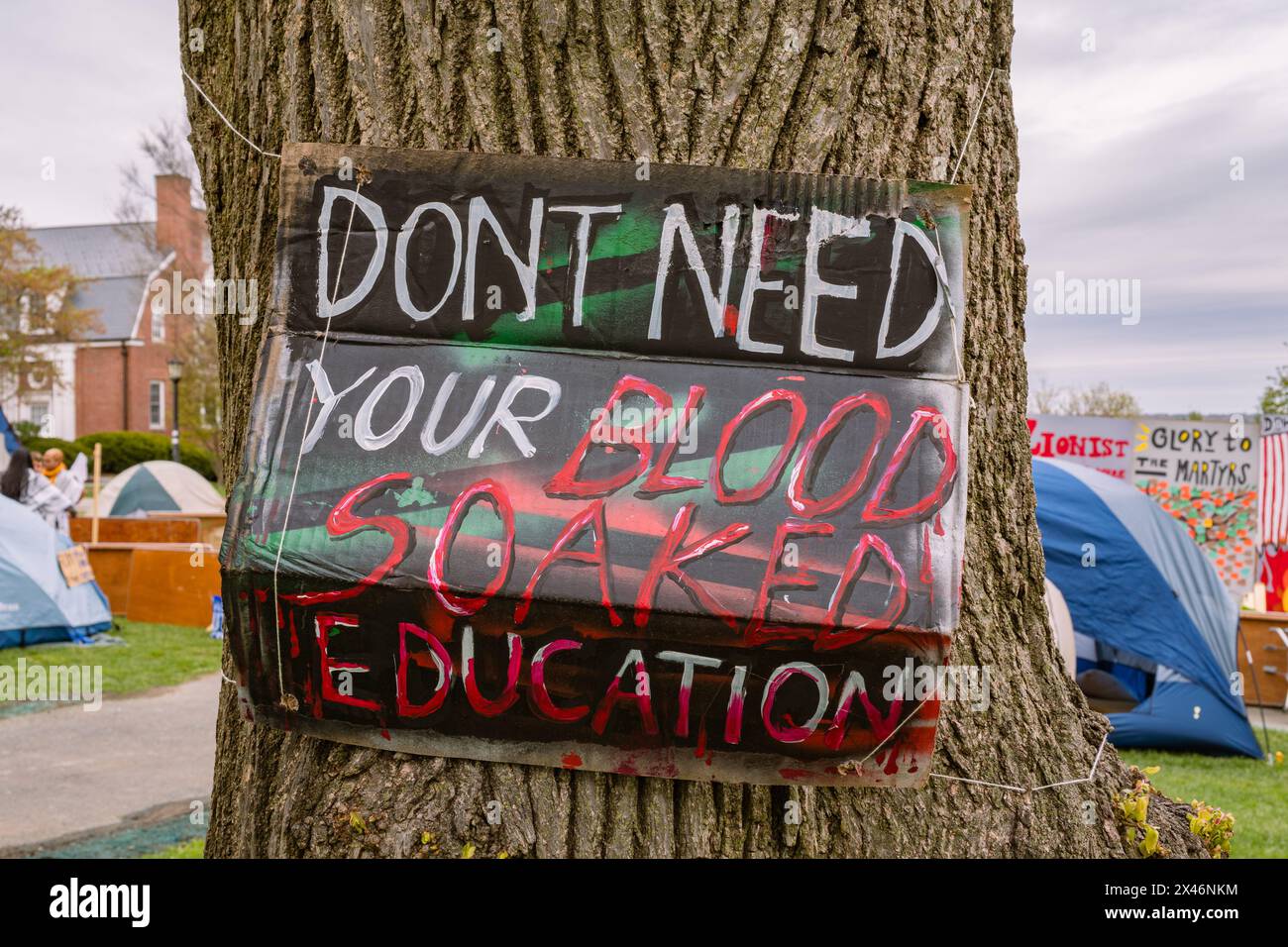 Medford, Massachusetts, US-30 aprile 2024: Sign Reading Don't need Your Blood About Education on Tree alla protesta pro-palestinese alla tenda dell'Università di Tufts Foto Stock